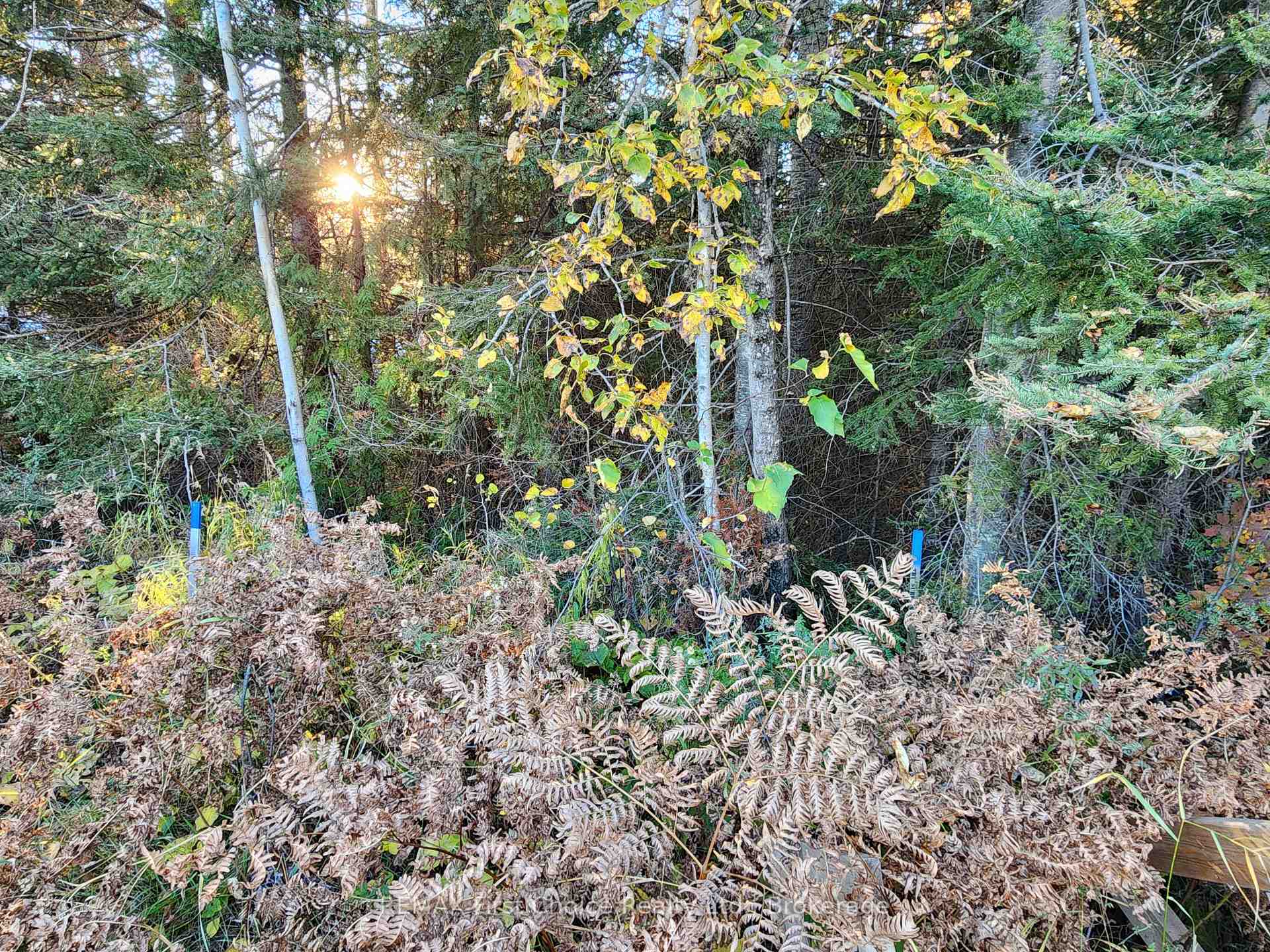 Photo 5 of 837 Hodder Avenue, Thunder Bay, Current River — HOMEH