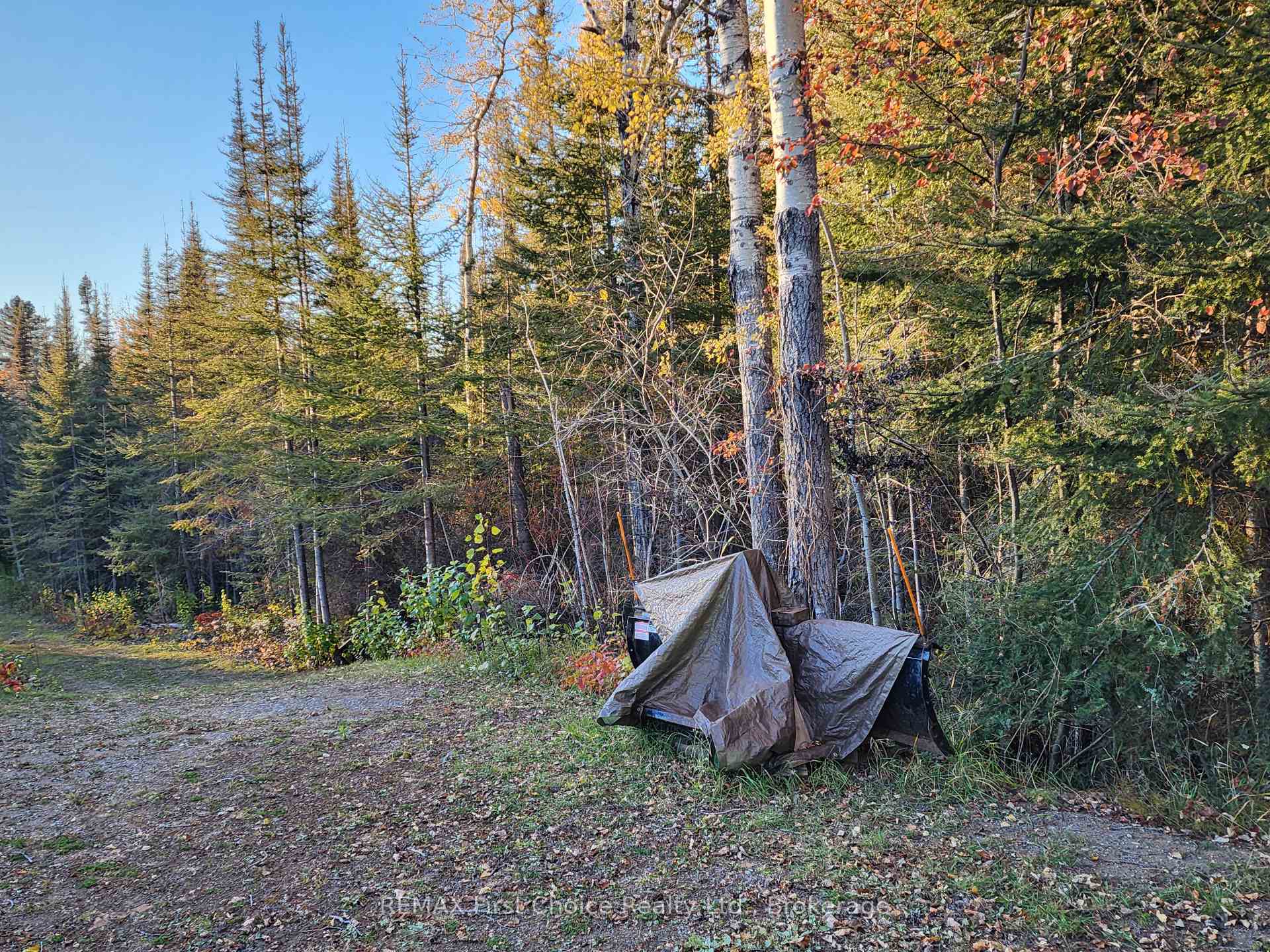 Photo 6 of 837 Hodder Avenue, Thunder Bay, Current River — HOMEH