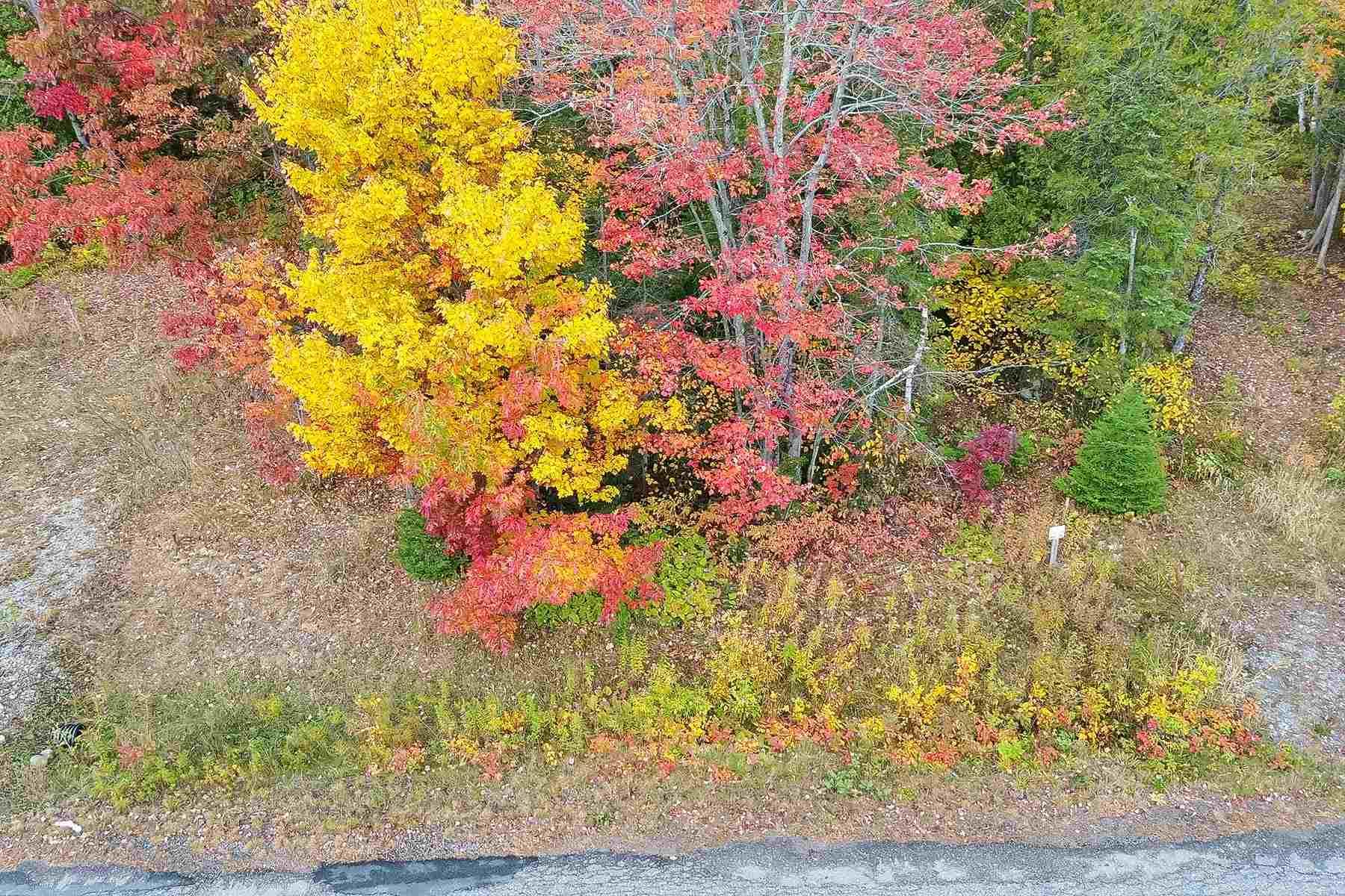 Photo 16 of 34 Lighthouse Point (Lot 28), Thessalon — HOMEH