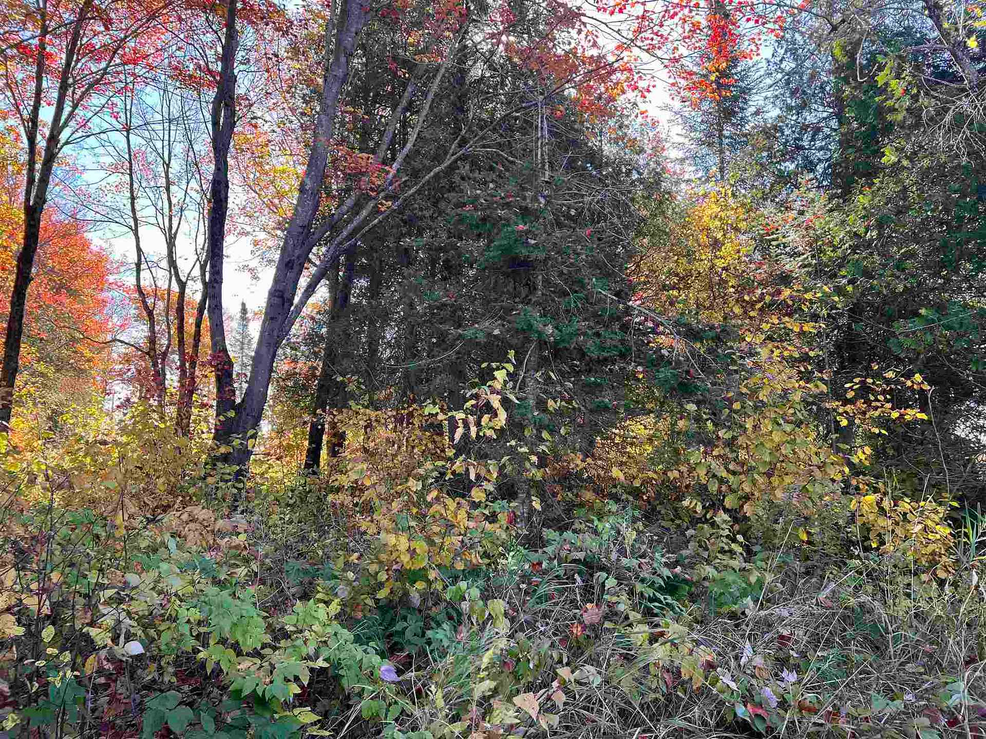 Photo 27 of 34 Lighthouse Point (Lot 28), Thessalon — HOMEH
