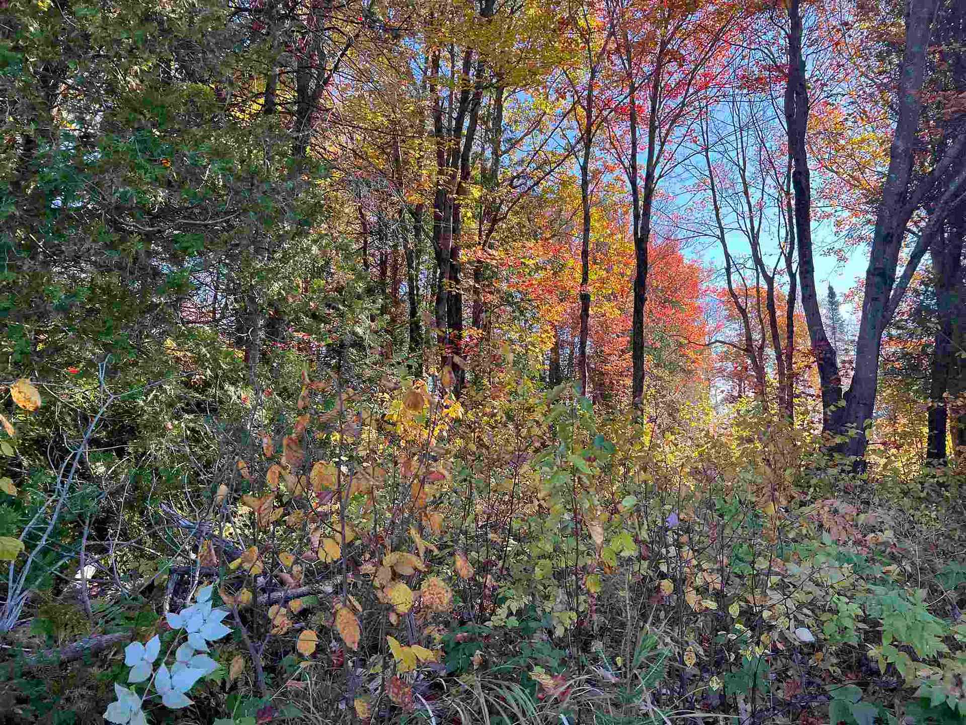 Photo 29 of 34 Lighthouse Point (Lot 28), Thessalon — HOMEH
