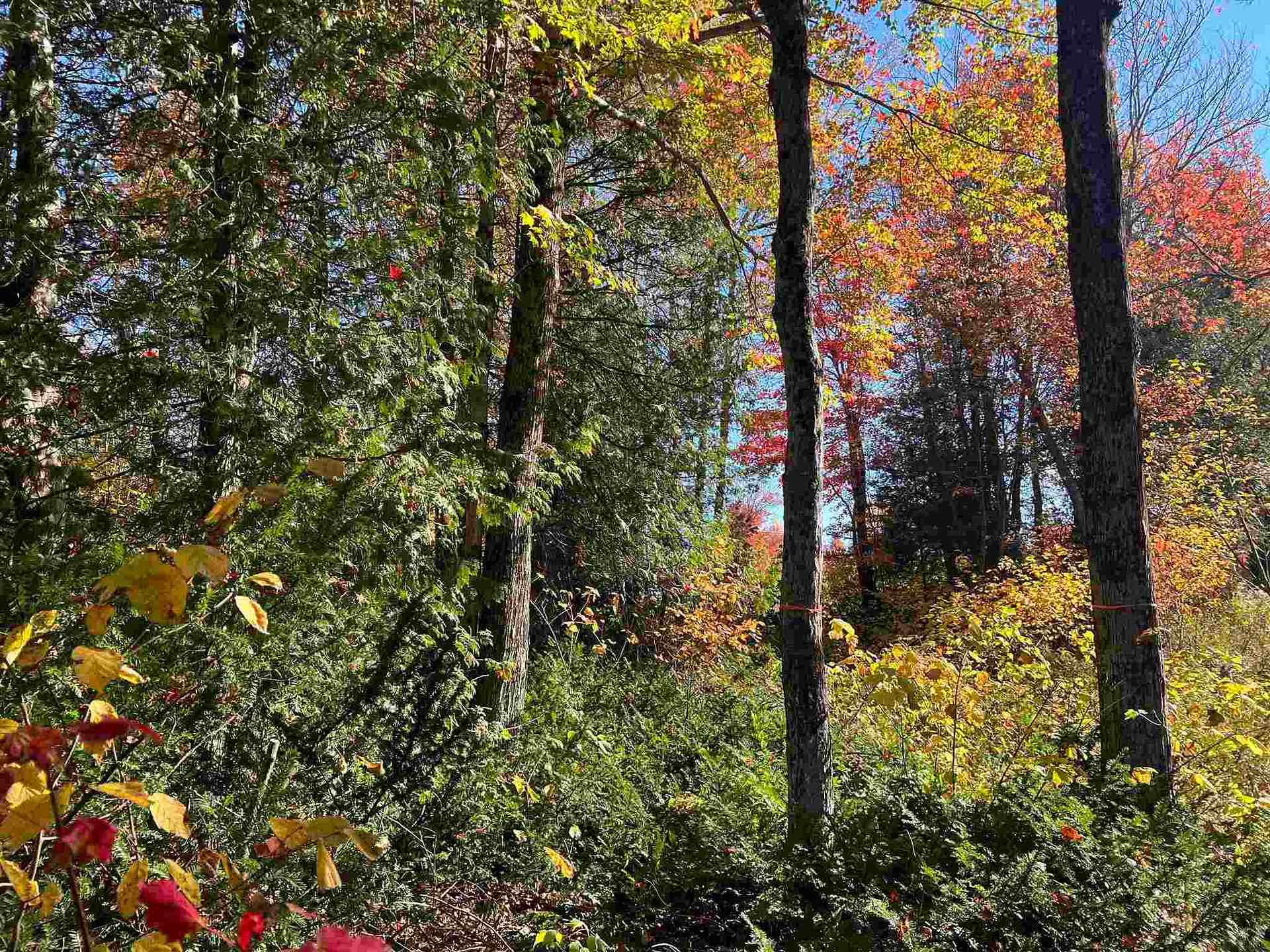 Photo 31 of 34 Lighthouse Point (Lot 28), Thessalon — HOMEH