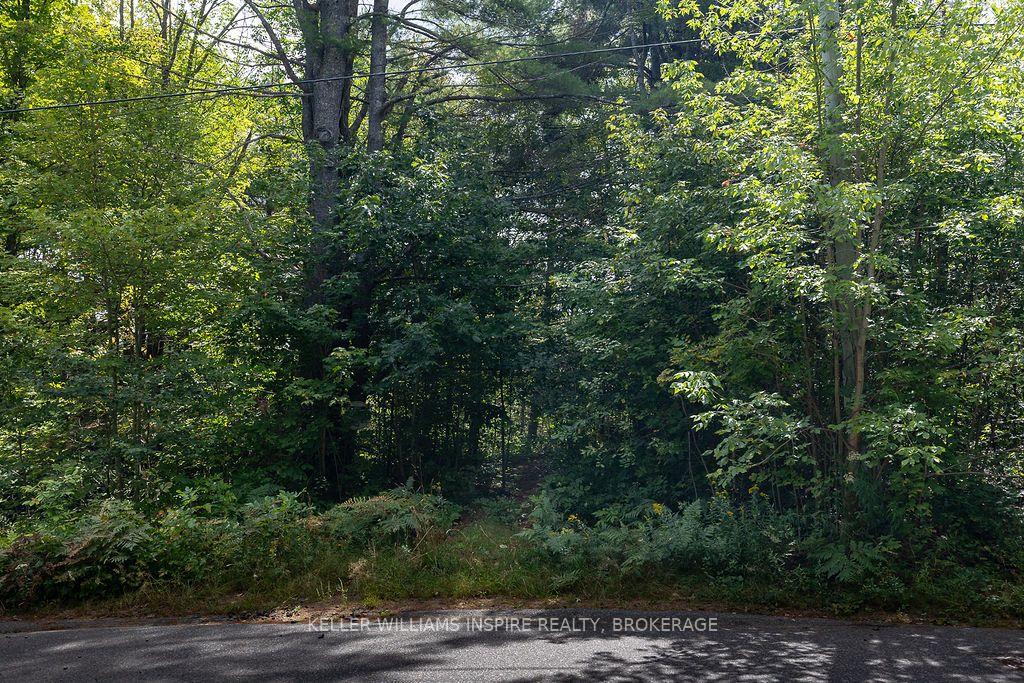 Photo of 0 Spruce Street