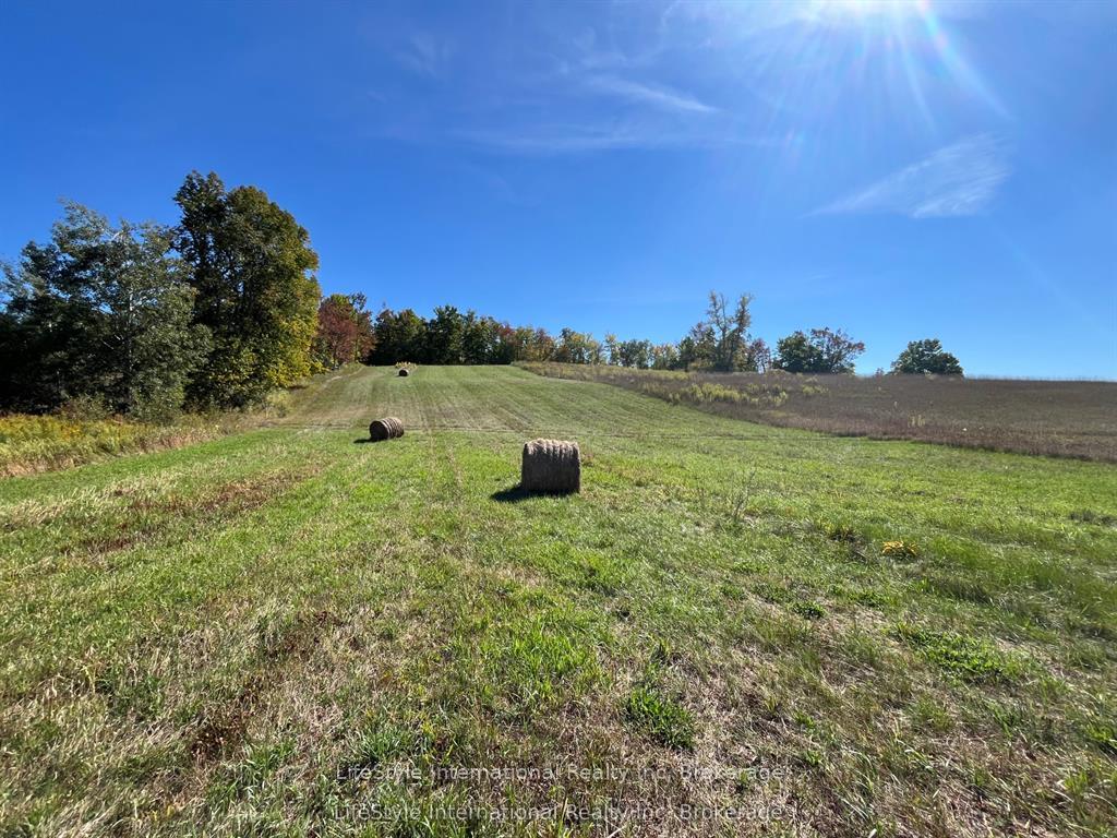 Photo of 213 Vansickle Road