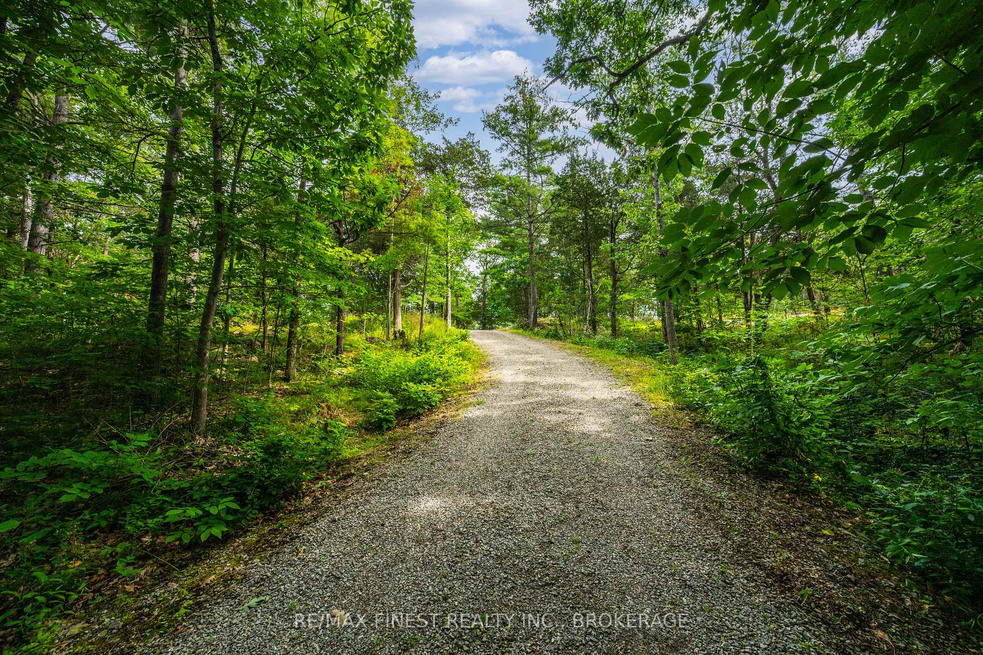 Photo of 169 Old River Road