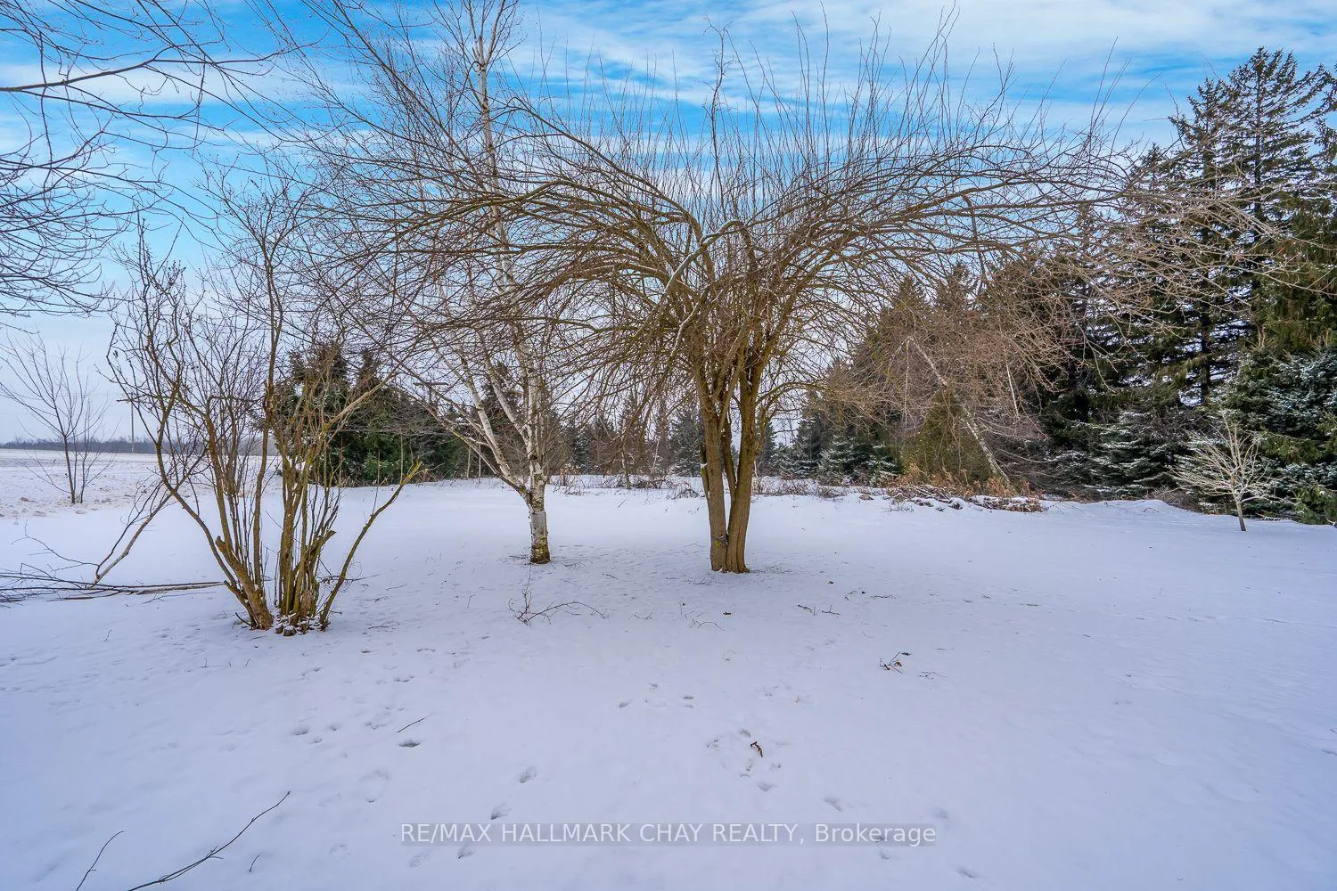 Photo 9 of 623011 280 Side Road, Melancthon, Rural Melancthon — HOMEH