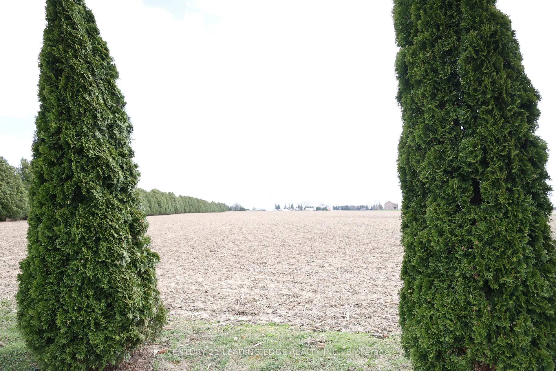 Photo 3 of 29133 Centre Side Road, Chatham-Kent, Dresden — HOMEH