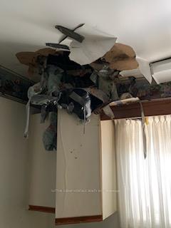 Photo 14 of 24 Dillon Drive, Collingwood — HOMEH