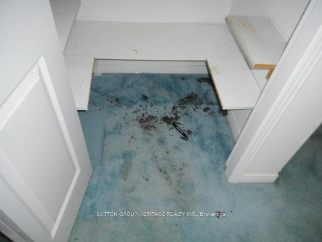 Photo 23 of 24 Dillon Drive, Collingwood — HOMEH