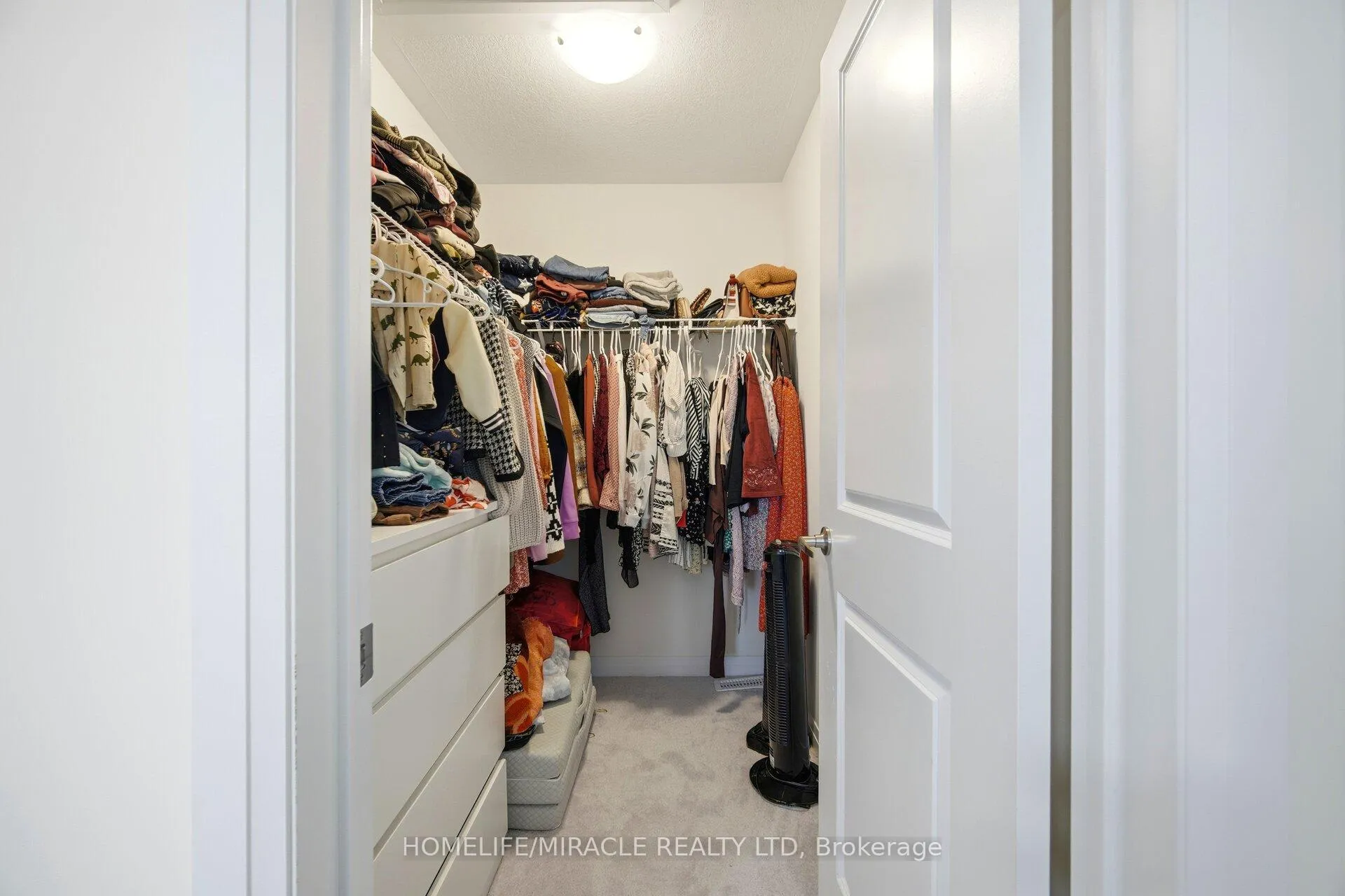 Photo 24 of 462 Adelaide Street, Wellington North, Arthur — HOMEH