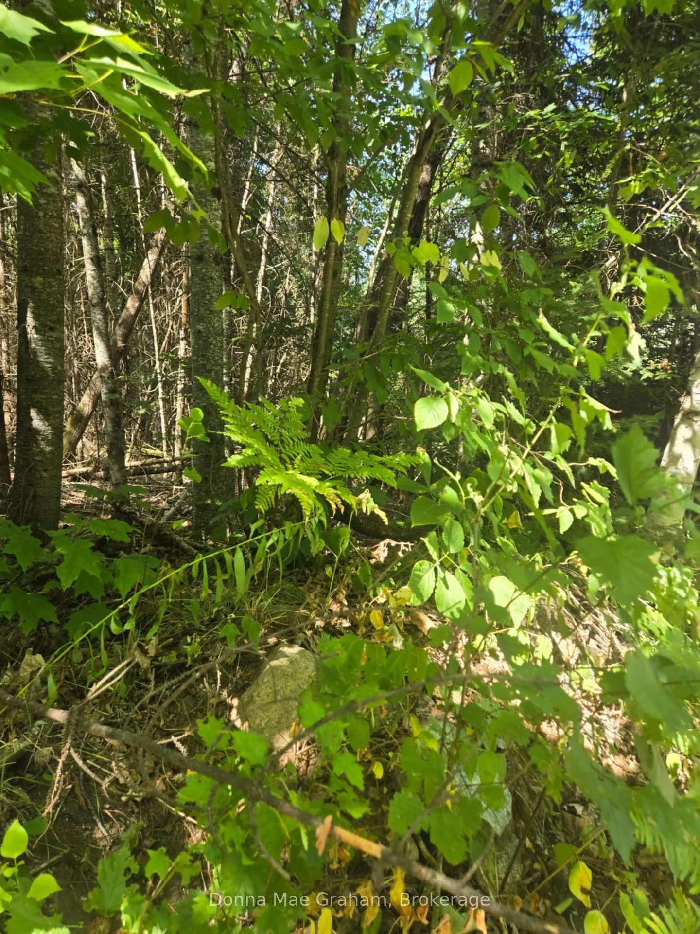 Photo of 0 MacDuff Road Acres