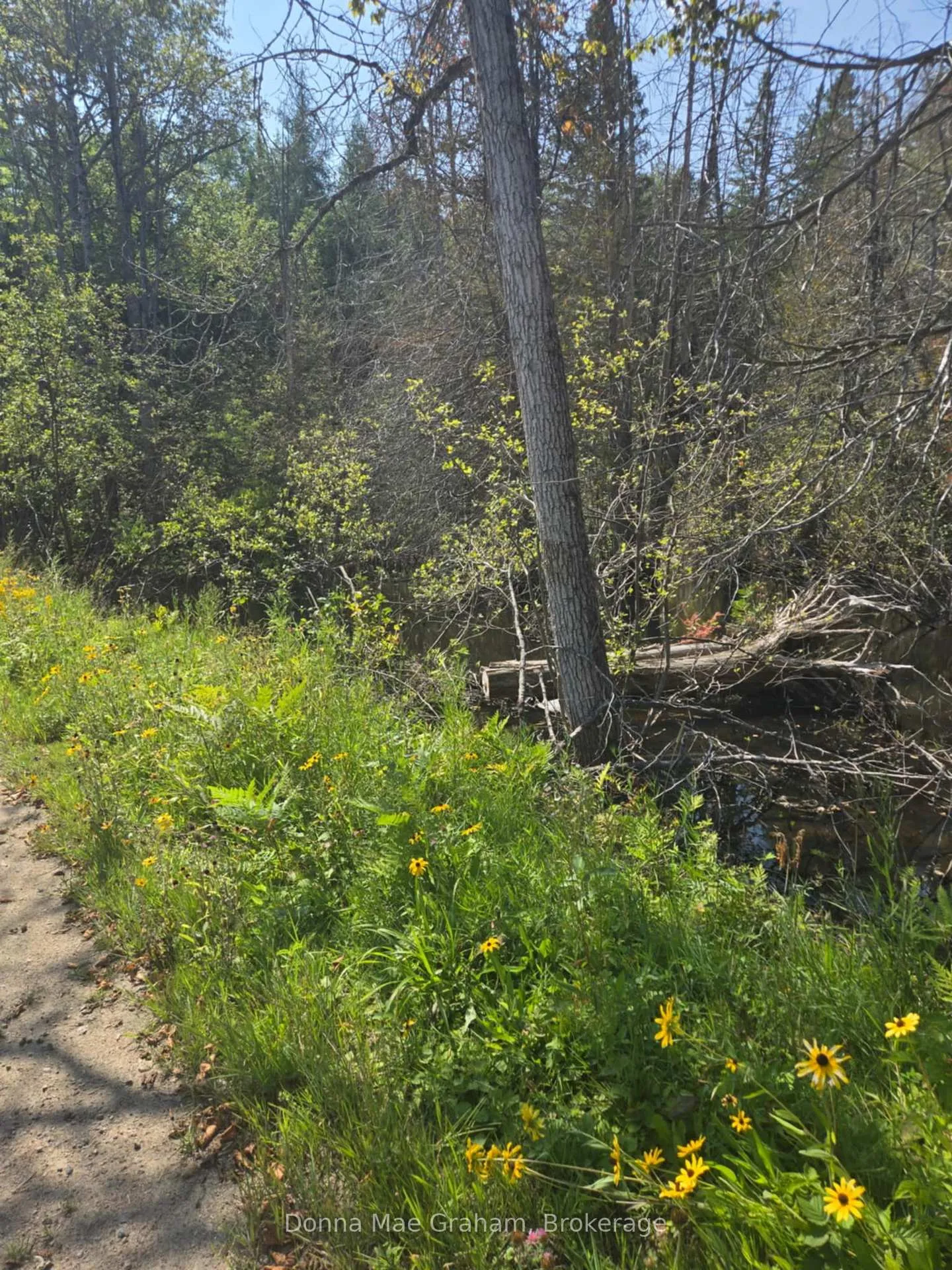 Photo 3 of MacDuff Road Acres, Highlands East, Monmouth — HOMEH