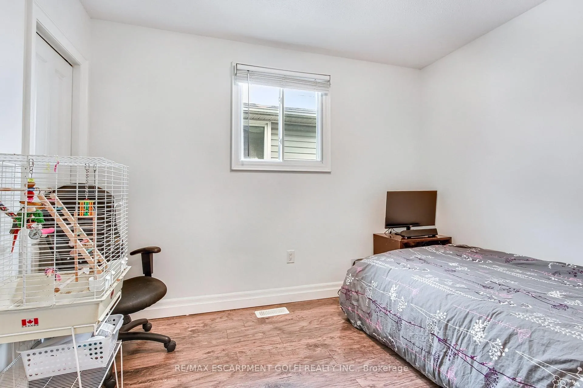 Photo 12 of 50 Lambert Street, Hamilton, Lawfield — HOMEH