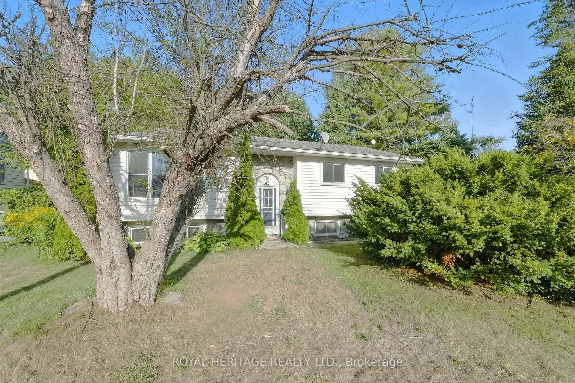 Photo 2 of 45 Maplewood Avenue, Brighton, Brighton (Town) — HOMEH
