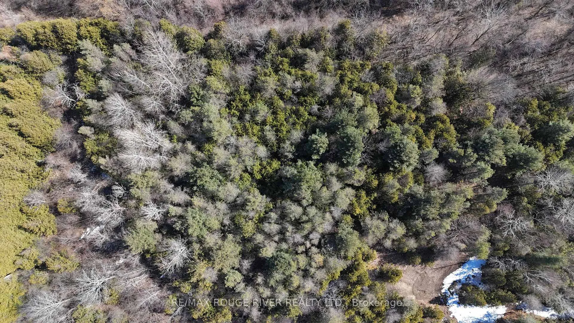 Photo 18 of Slater Street, Hamilton Township, Rural Hamilton — HOMEH