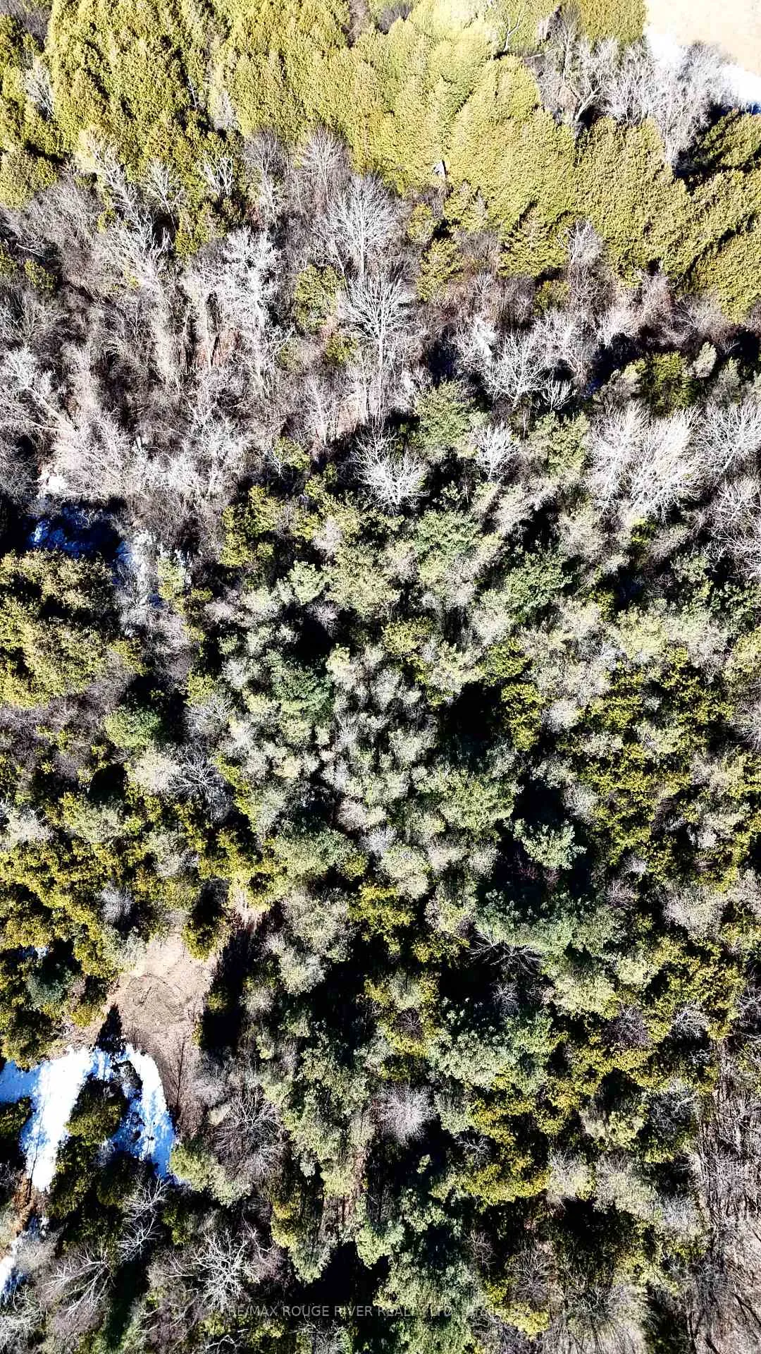 Photo 19 of Slater Street, Hamilton Township, Rural Hamilton — HOMEH