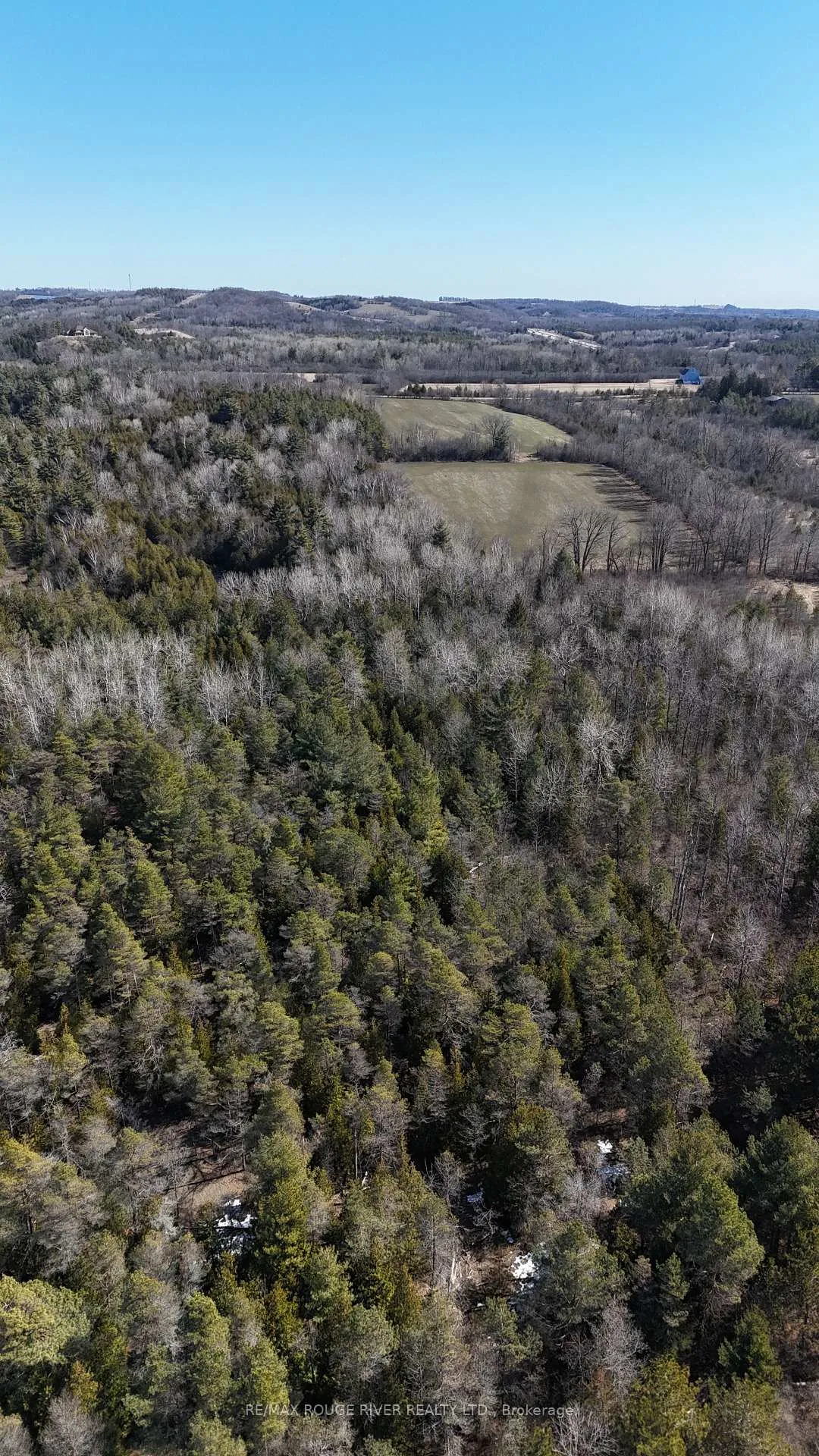 Photo 28 of Slater Street, Hamilton Township, Rural Hamilton — HOMEH