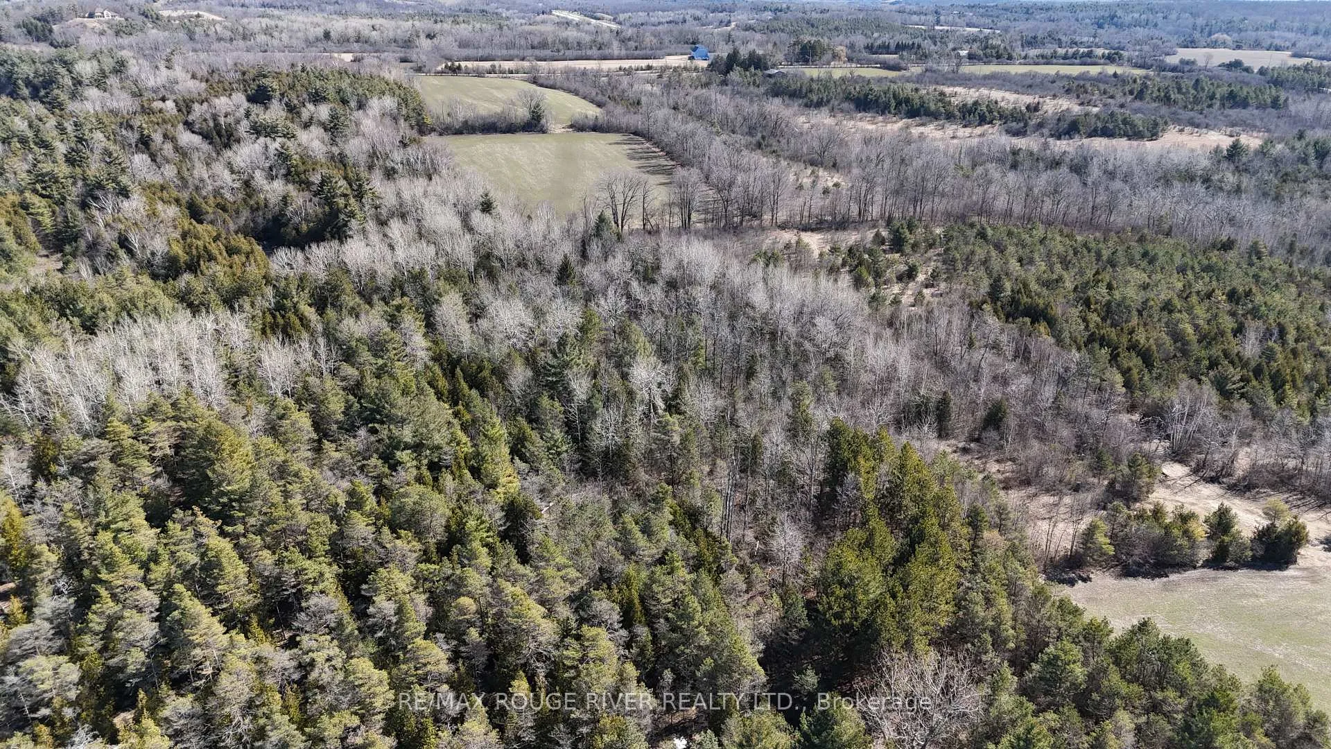 Photo 30 of Slater Street, Hamilton Township, Rural Hamilton — HOMEH