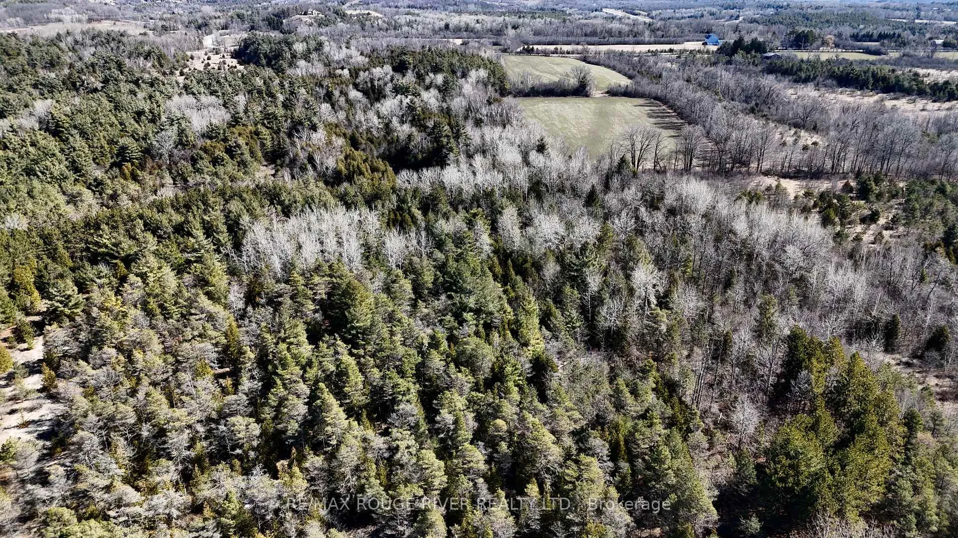 Photo 31 of Slater Street, Hamilton Township, Rural Hamilton — HOMEH