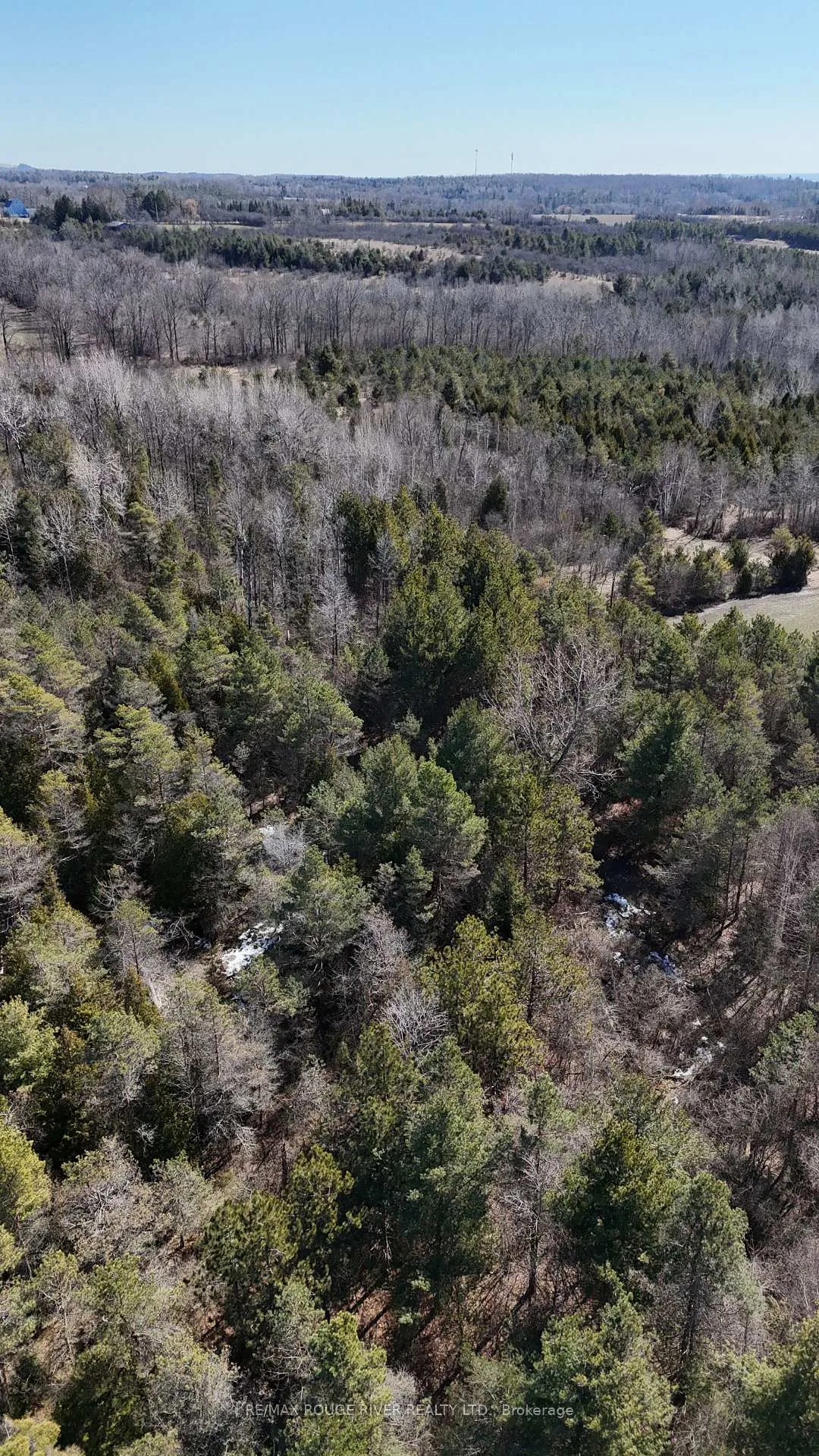Photo 35 of Slater Street, Hamilton Township, Rural Hamilton — HOMEH