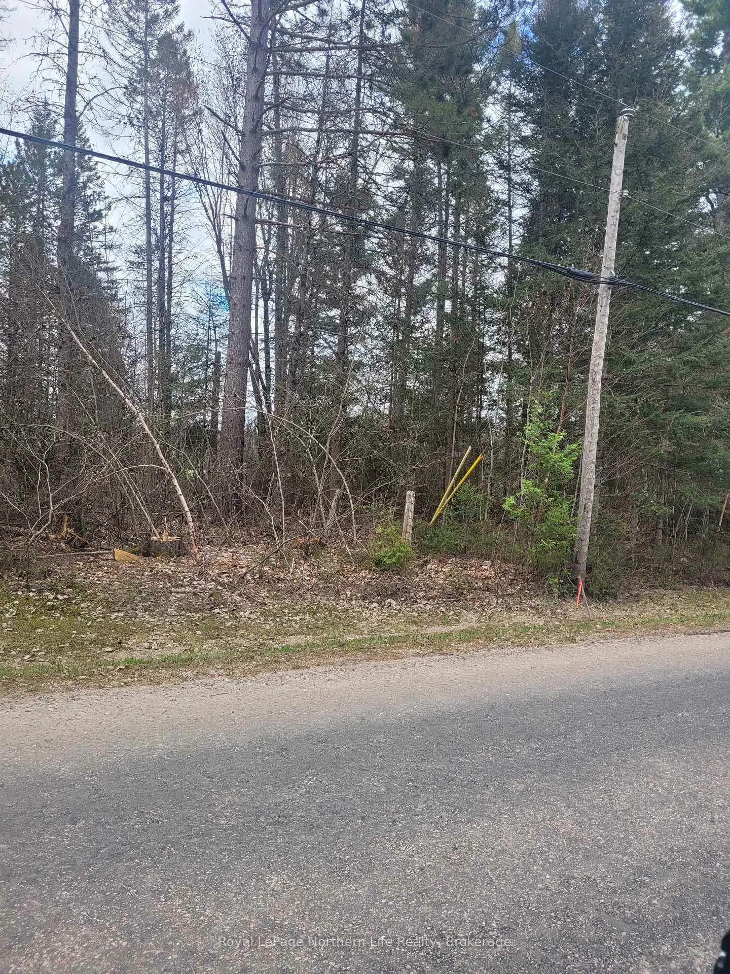 Photo 1 of PT LOT 19 Con 13, Papineau-Cameron, Papineau Cameron — HOMEH