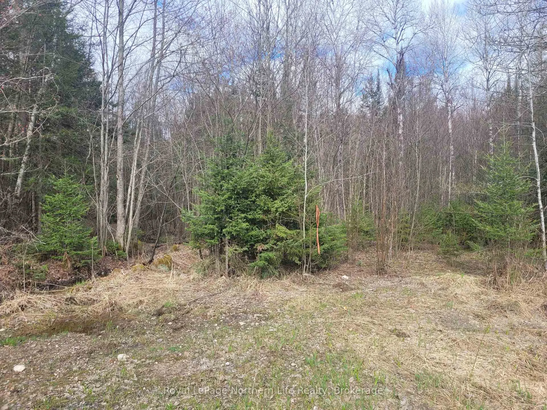 Photo 2 of PT LOT 19 Con 13, Papineau-Cameron, Papineau Cameron — HOMEH