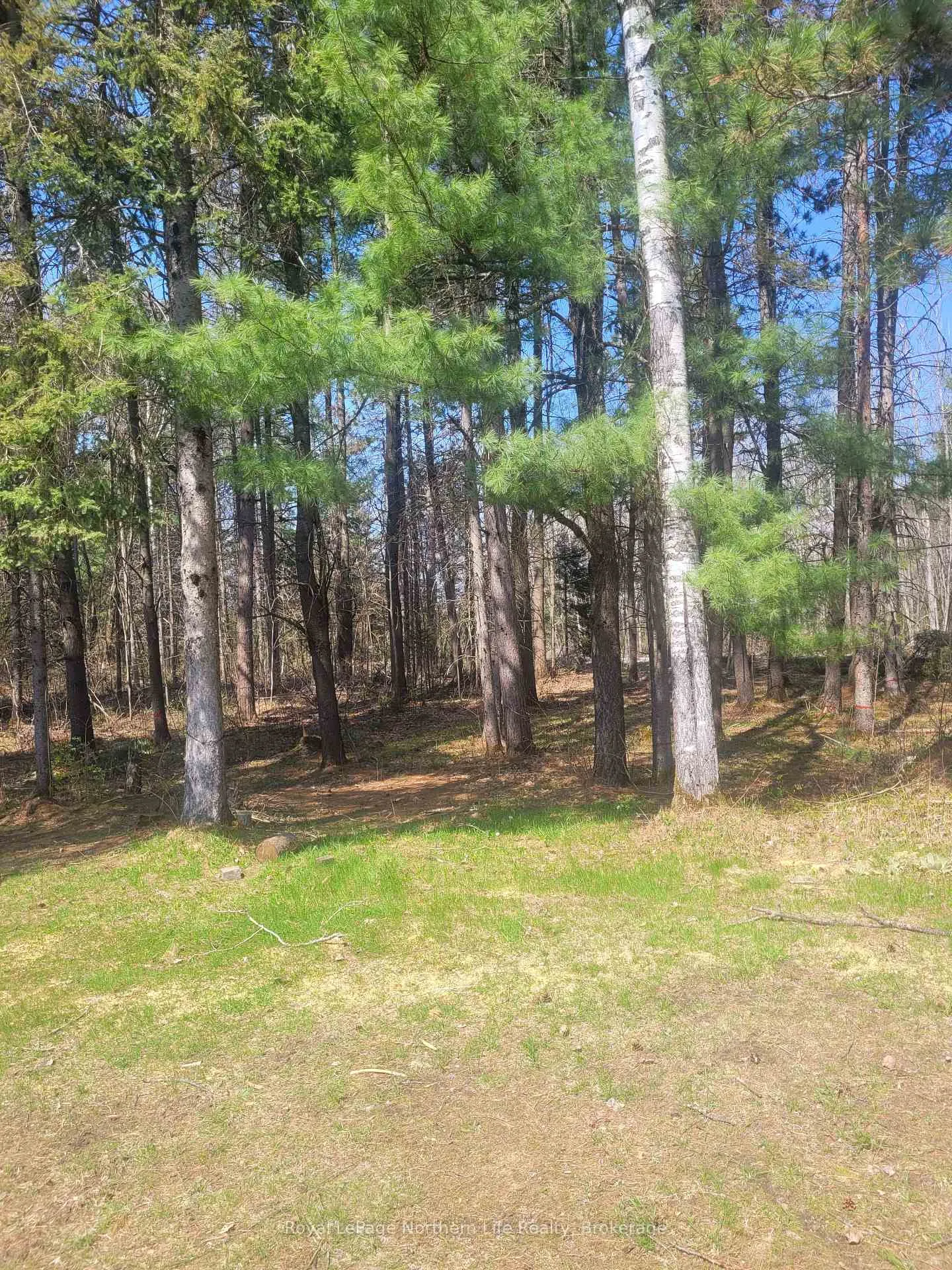Photo 6 of PT LOT 19 Con 13, Papineau-Cameron, Papineau Cameron — HOMEH