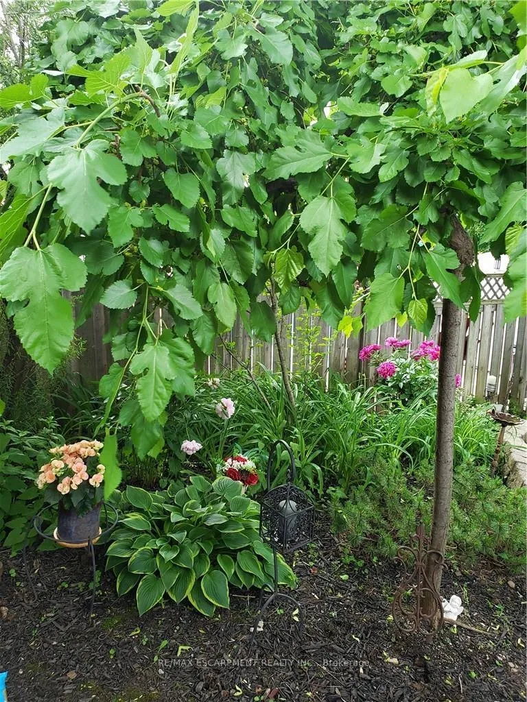 Photo 31 of 251 East 31st Street, Hamilton, Eastmount — HOMEH
