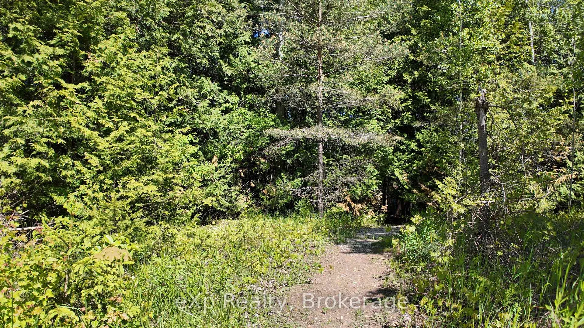 Photo 9 of PtLt 17 Westfall Crescent, West Grey — HOMEH