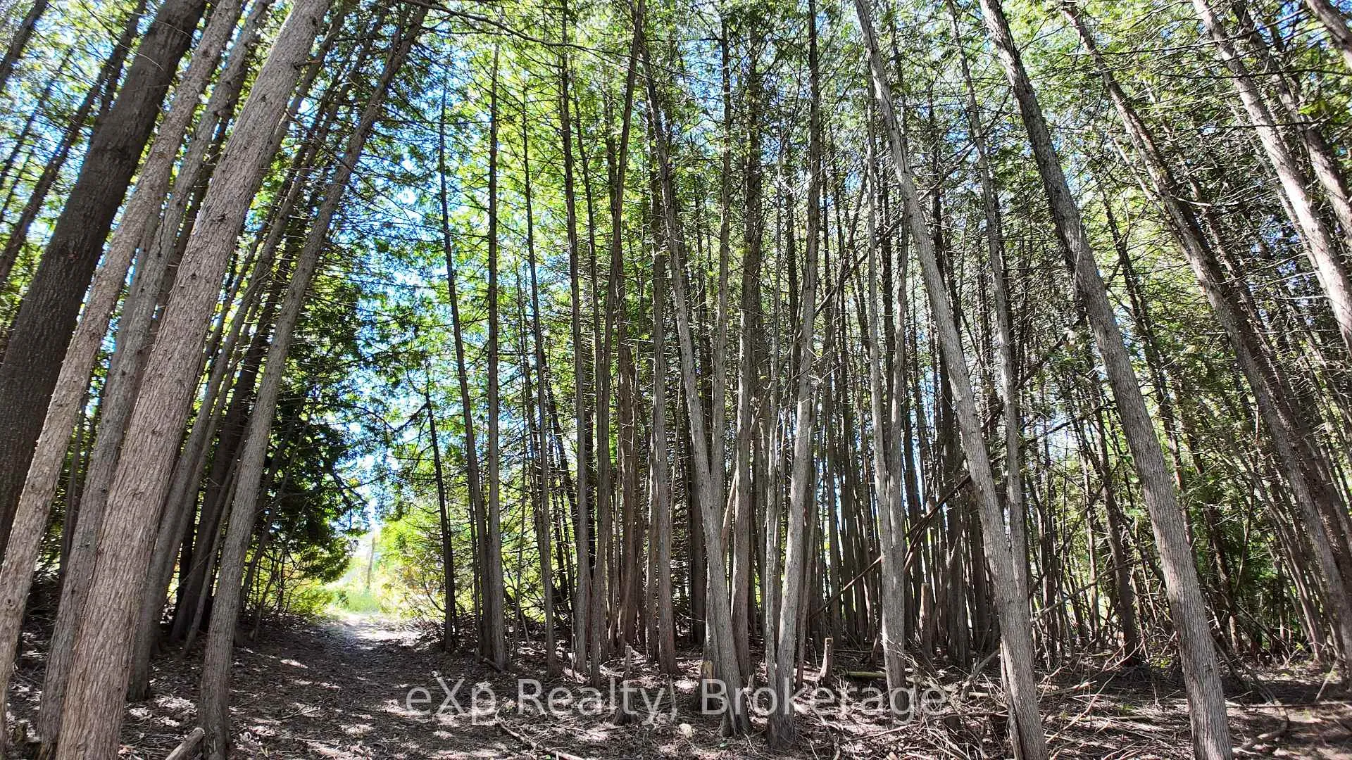 Photo 11 of PtLt 17 Westfall Crescent, West Grey — HOMEH