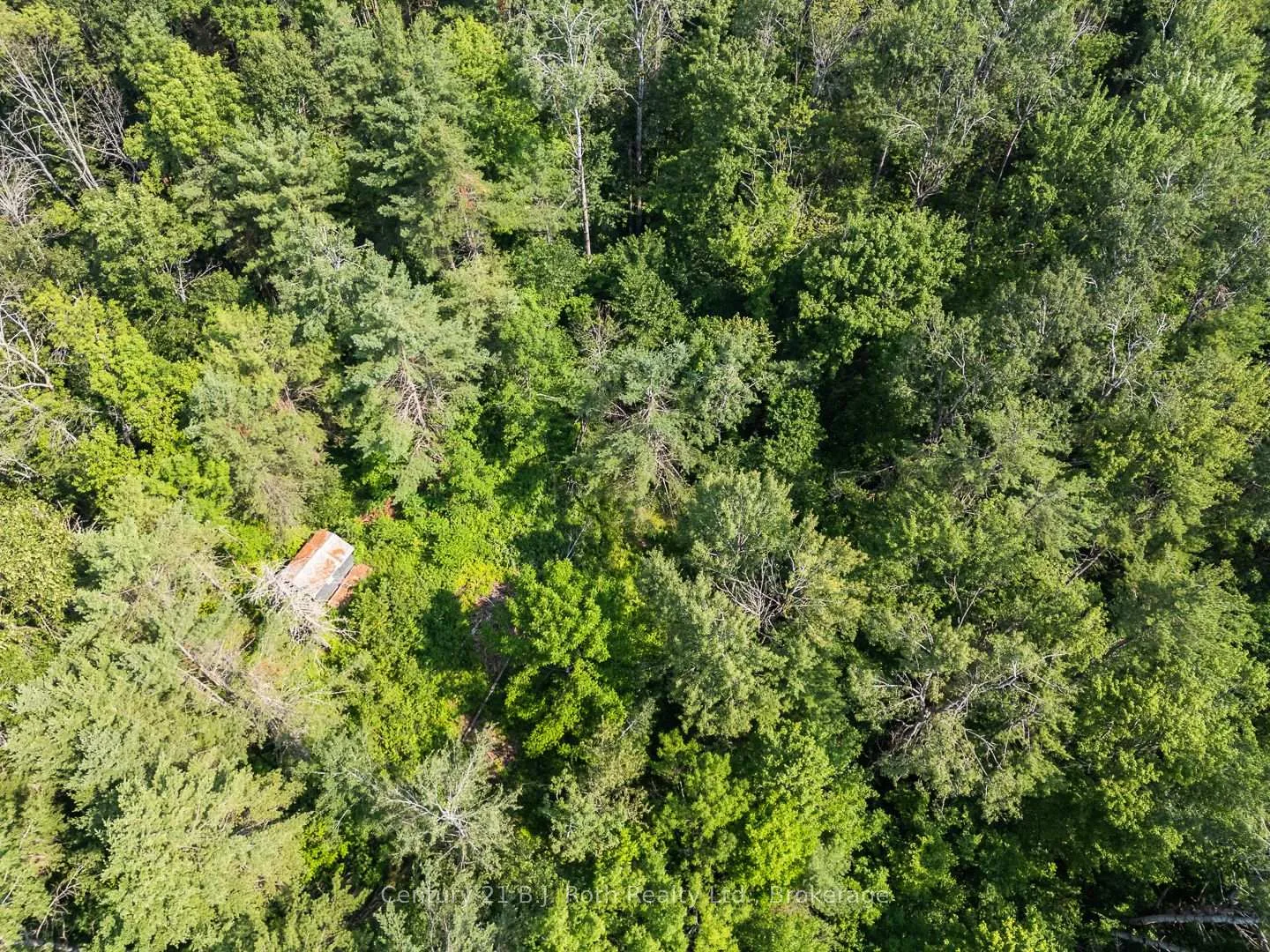 Photo 5 of 1140 Sam Cook Road, Gravenhurst, Ryde — HOMEH