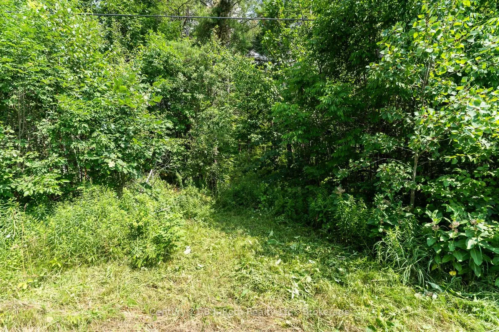 Photo 6 of 1140 Sam Cook Road, Gravenhurst, Ryde — HOMEH