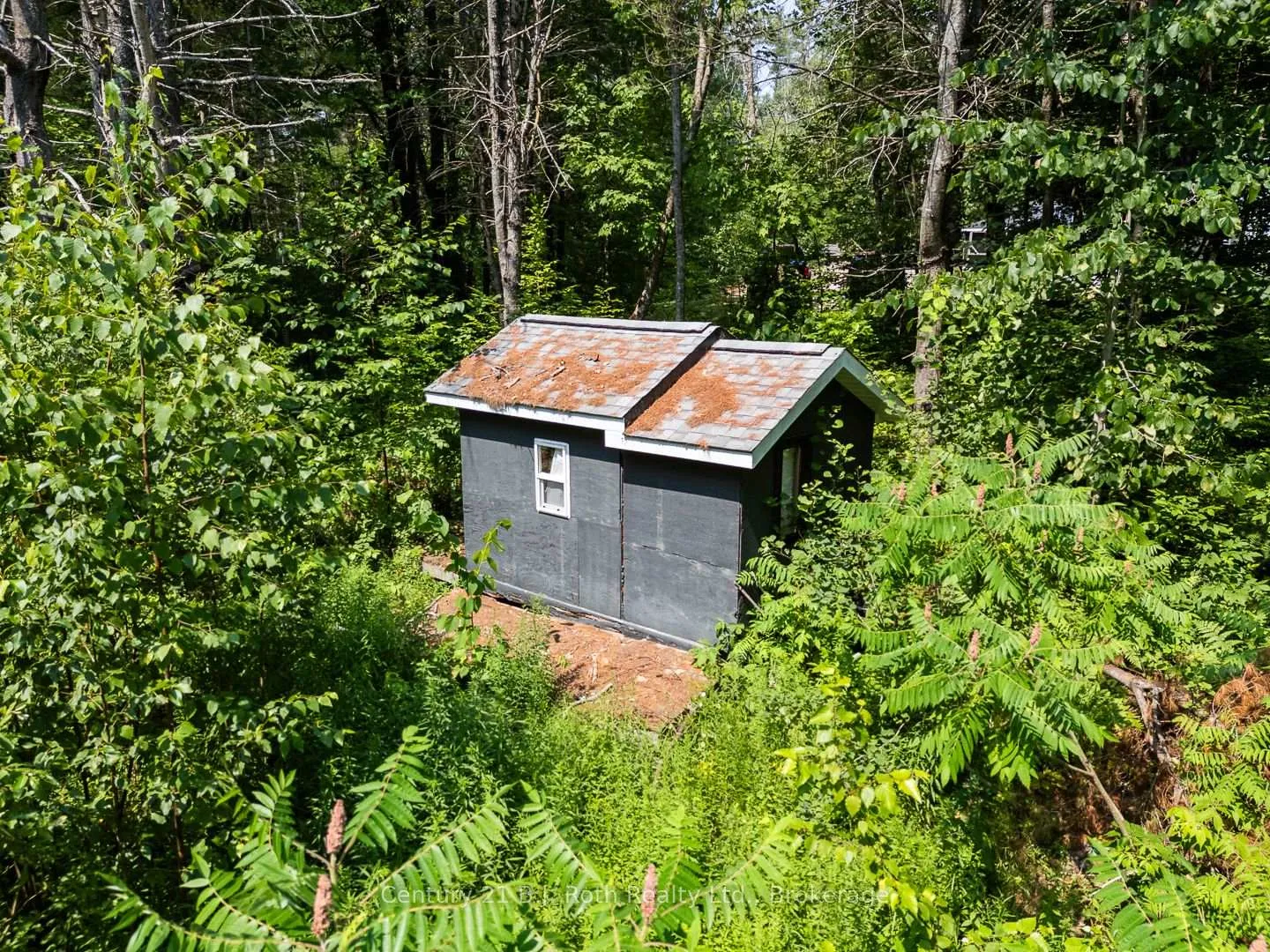 Photo 7 of 1140 Sam Cook Road, Gravenhurst, Ryde — HOMEH