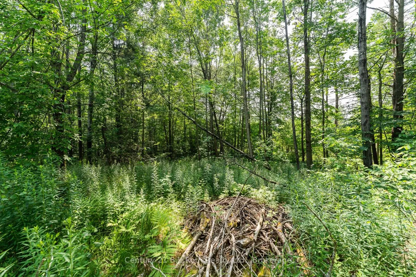 Photo 10 of 1140 Sam Cook Road, Gravenhurst, Ryde — HOMEH