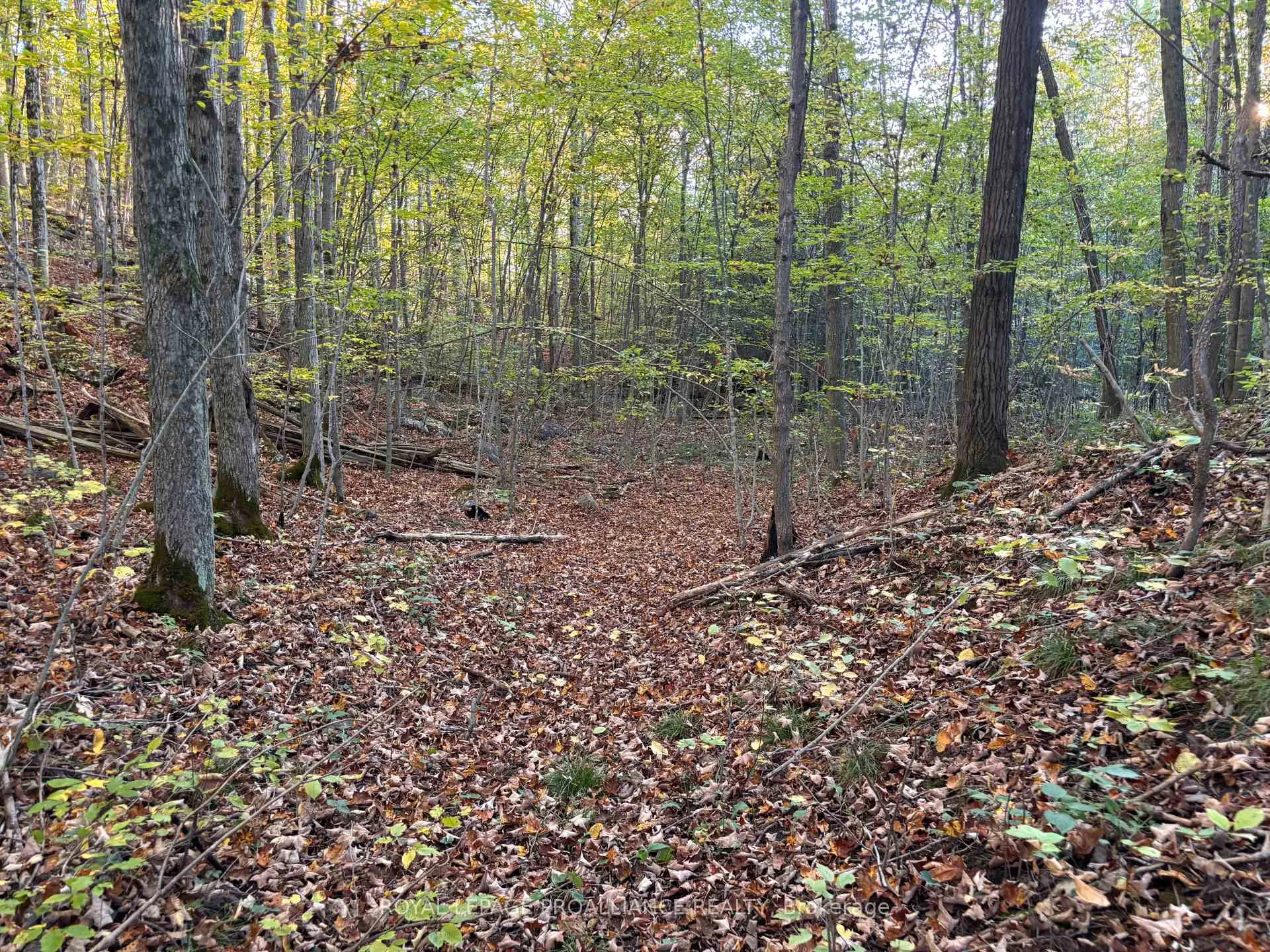 Photo 1 of PT LT 29-30 Naphan Road, Tyendinaga, Tyendinaga Township — HOMEH