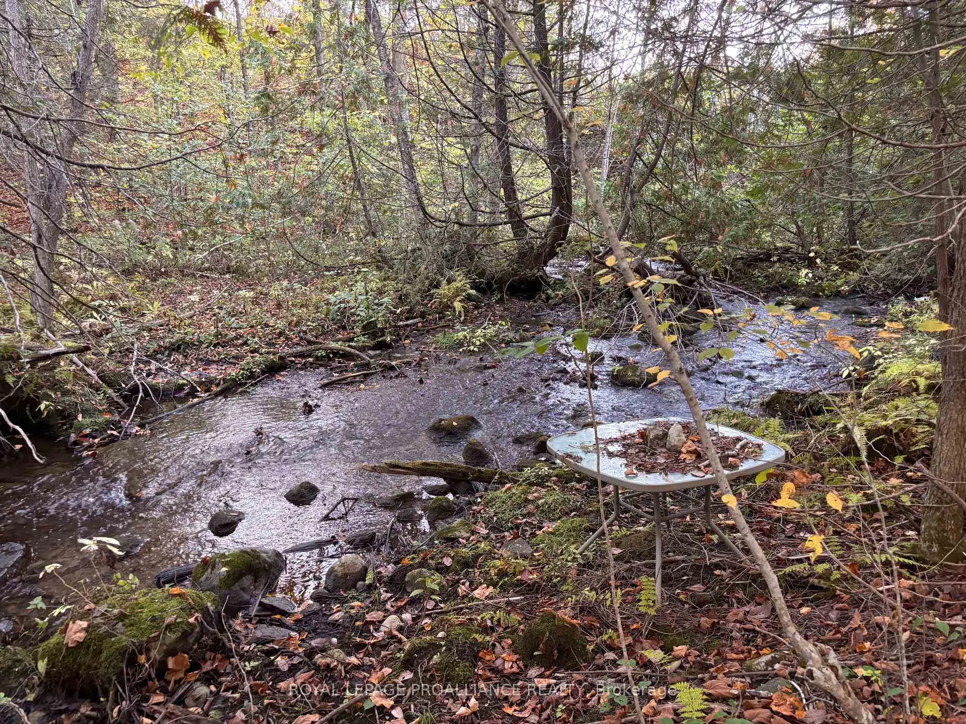Photo 3 of PT LT 29-30 Naphan Road, Tyendinaga, Tyendinaga Township — HOMEH