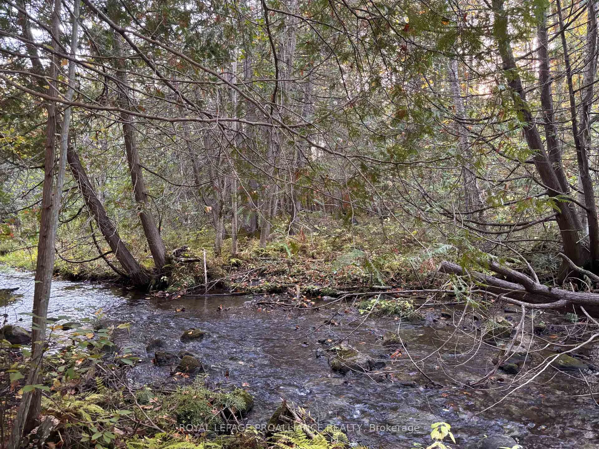 Photo 4 of PT LT 29-30 Naphan Road, Tyendinaga, Tyendinaga Township — HOMEH