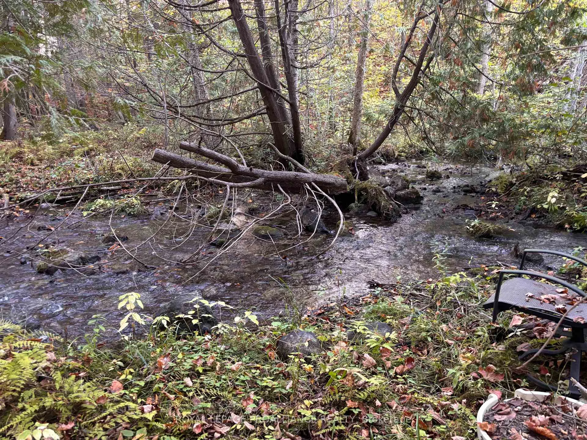Photo 5 of PT LT 29-30 Naphan Road, Tyendinaga, Tyendinaga Township — HOMEH