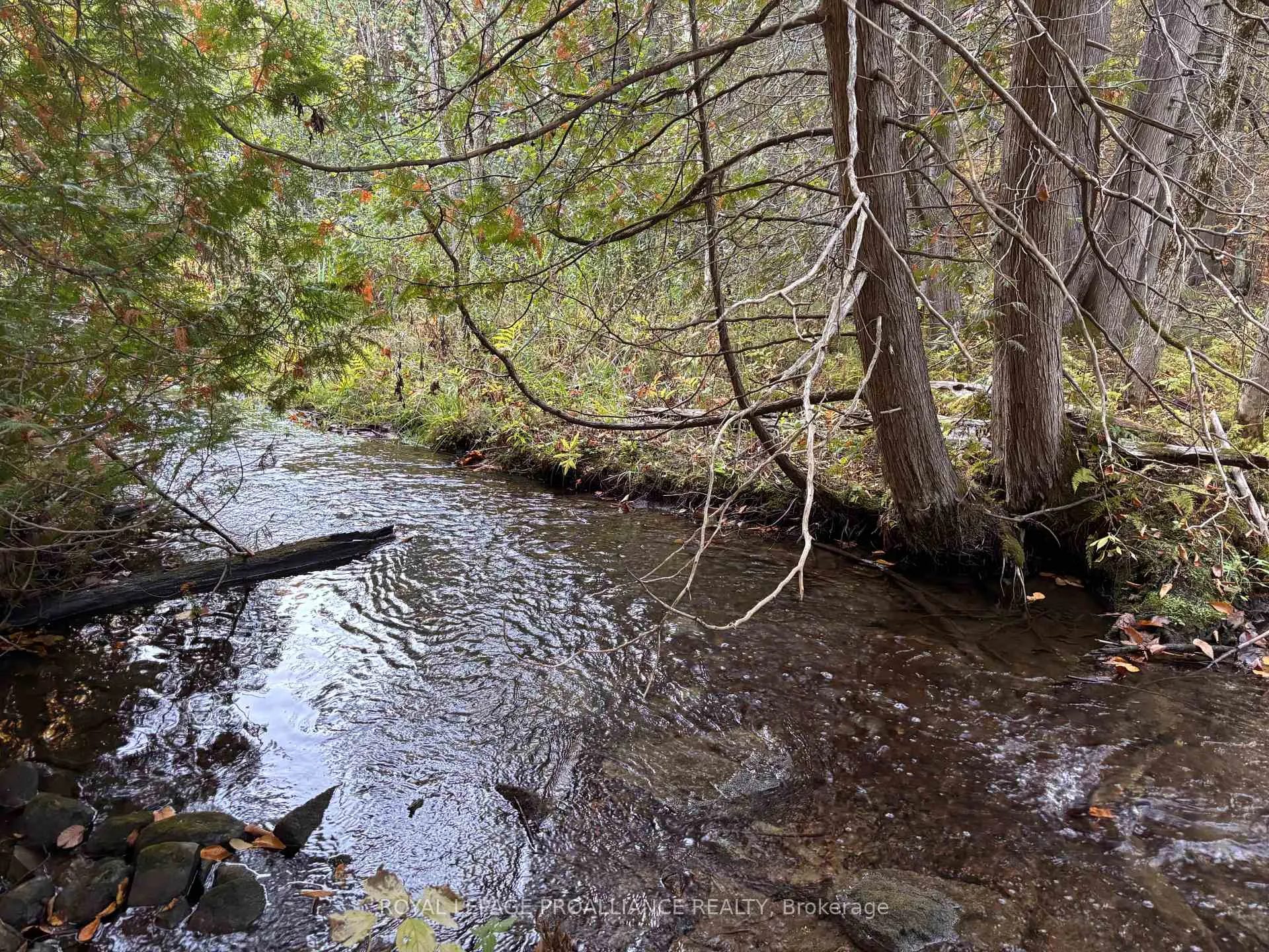 Photo 6 of PT LT 29-30 Naphan Road, Tyendinaga, Tyendinaga Township — HOMEH