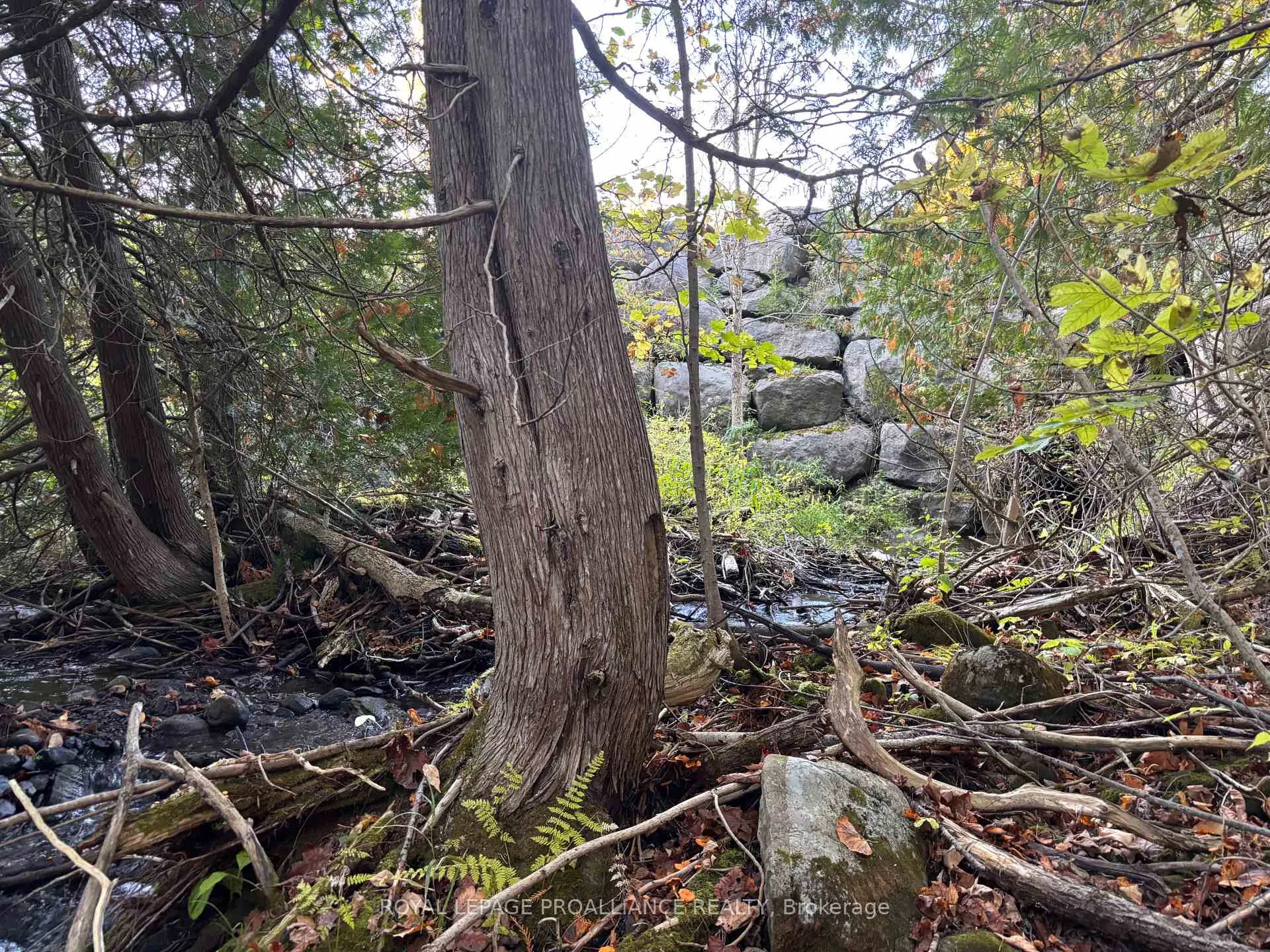 Photo 8 of PT LT 29-30 Naphan Road, Tyendinaga, Tyendinaga Township — HOMEH