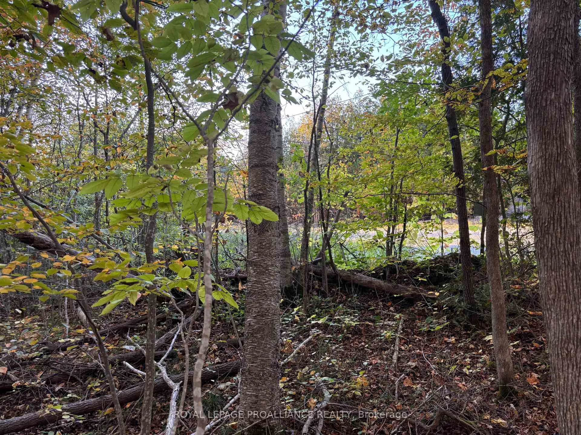 Photo 9 of PT LT 29-30 Naphan Road, Tyendinaga, Tyendinaga Township — HOMEH