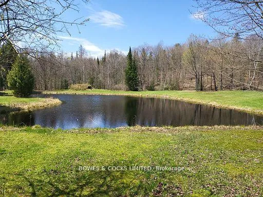 Photo 20 of 56 Otter Lake Road, Faraday — HOMEH