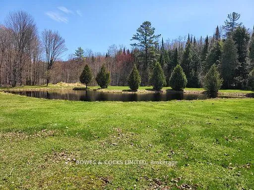 Photo 29 of 56 Otter Lake Road, Faraday — HOMEH