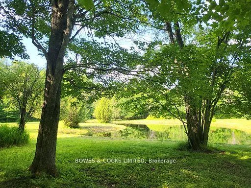 Photo 37 of 56 Otter Lake Road, Faraday — HOMEH