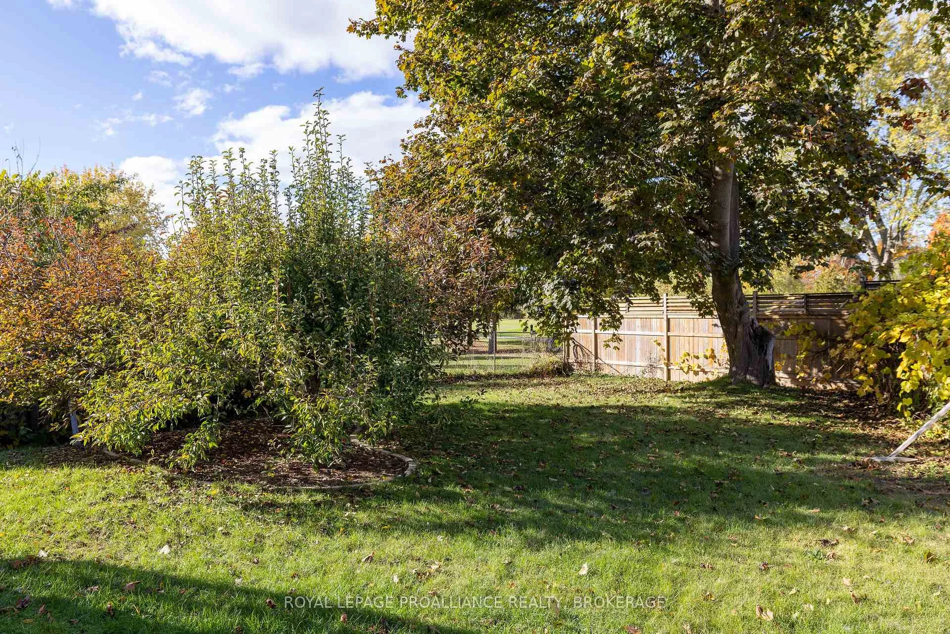 Photo 24 of 41 Old Oak Road, Kingston, Central City West — HOMEH