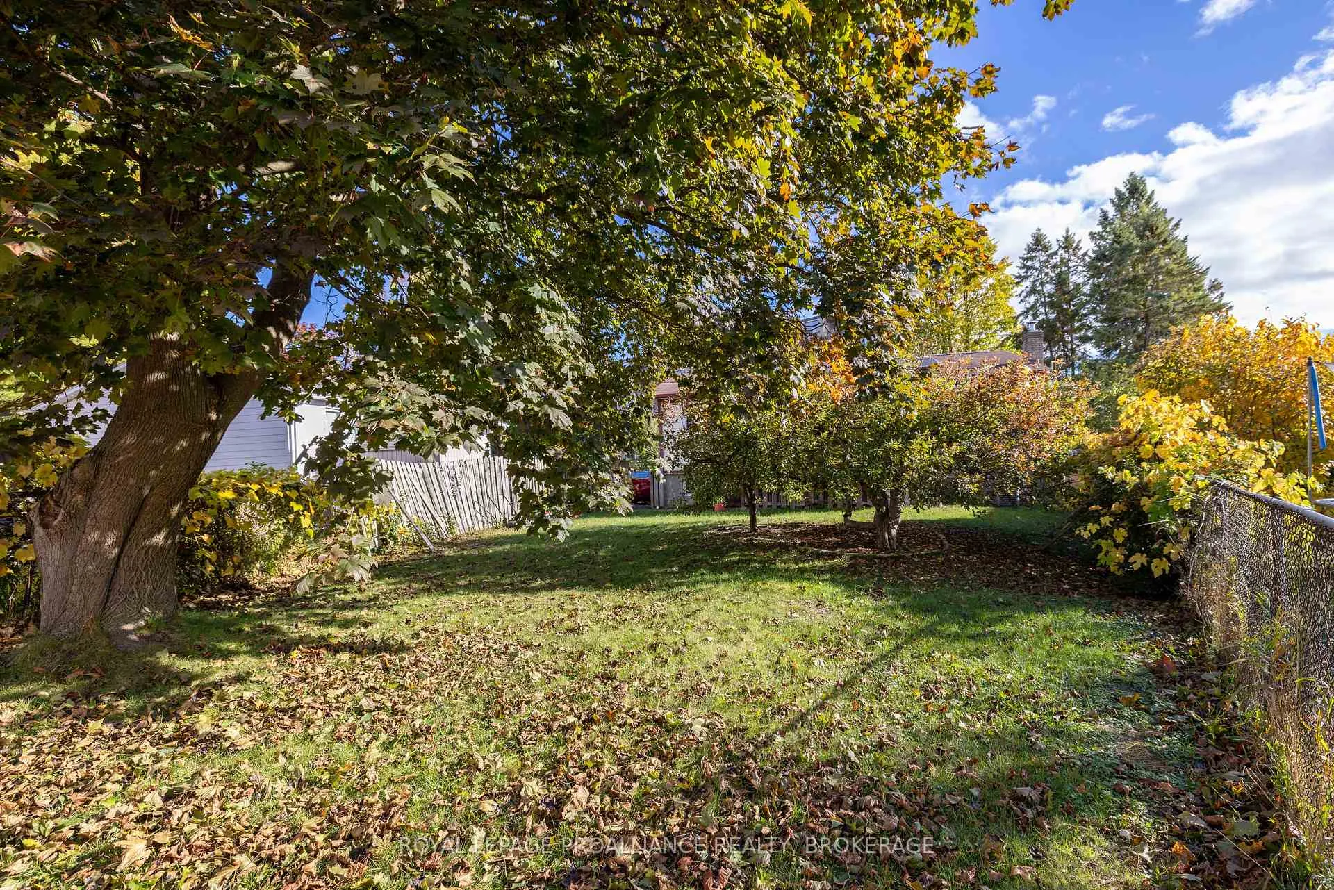 Photo 26 of 41 Old Oak Road, Kingston, Central City West — HOMEH