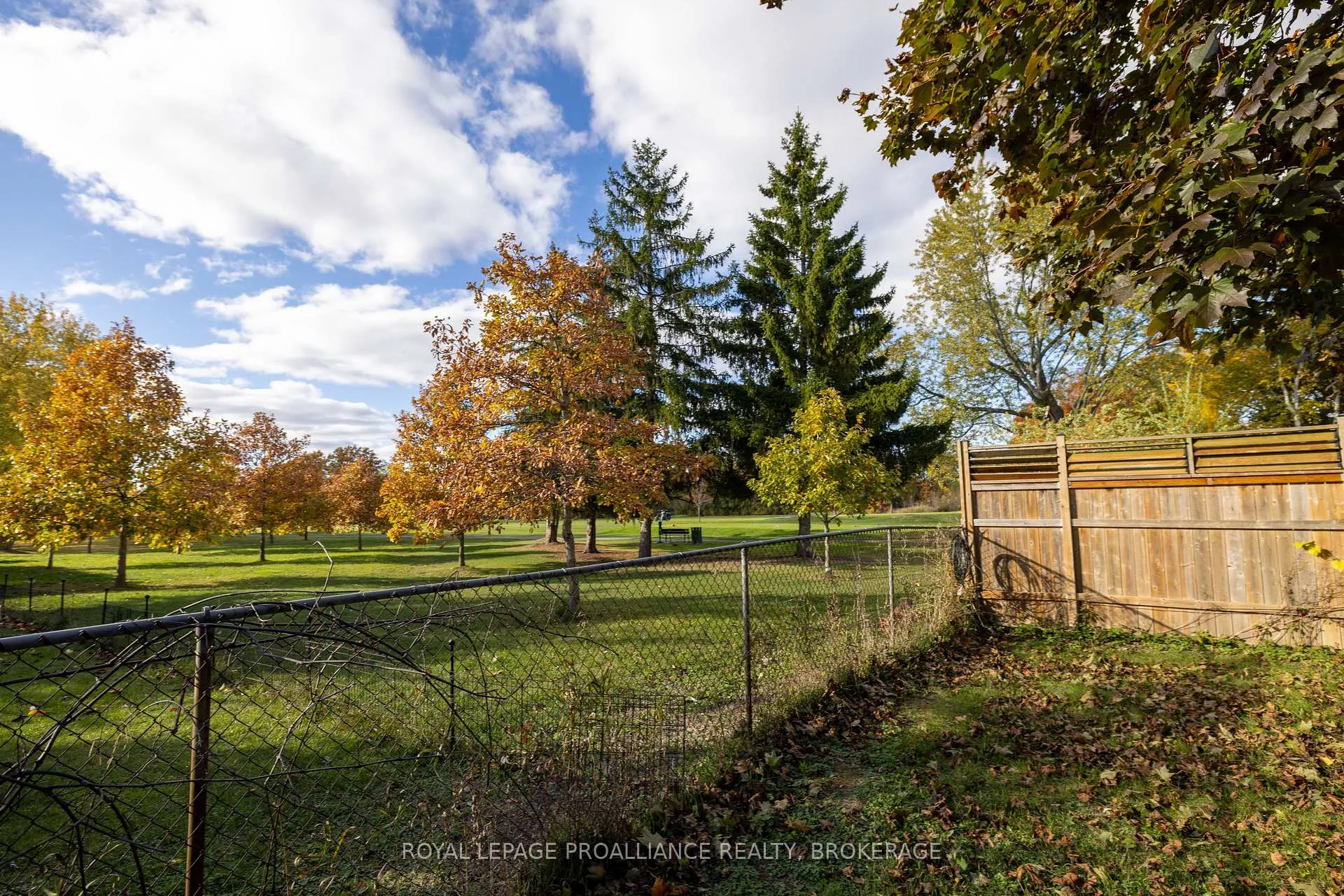 Photo 28 of 41 Old Oak Road, Kingston, Central City West — HOMEH