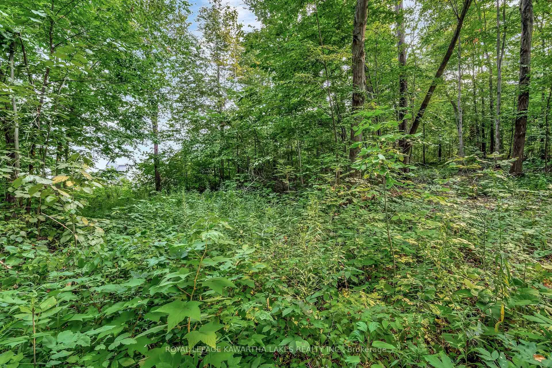 Photo 11 of Cottingham Road, Kawartha Lakes, Emily — HOMEH