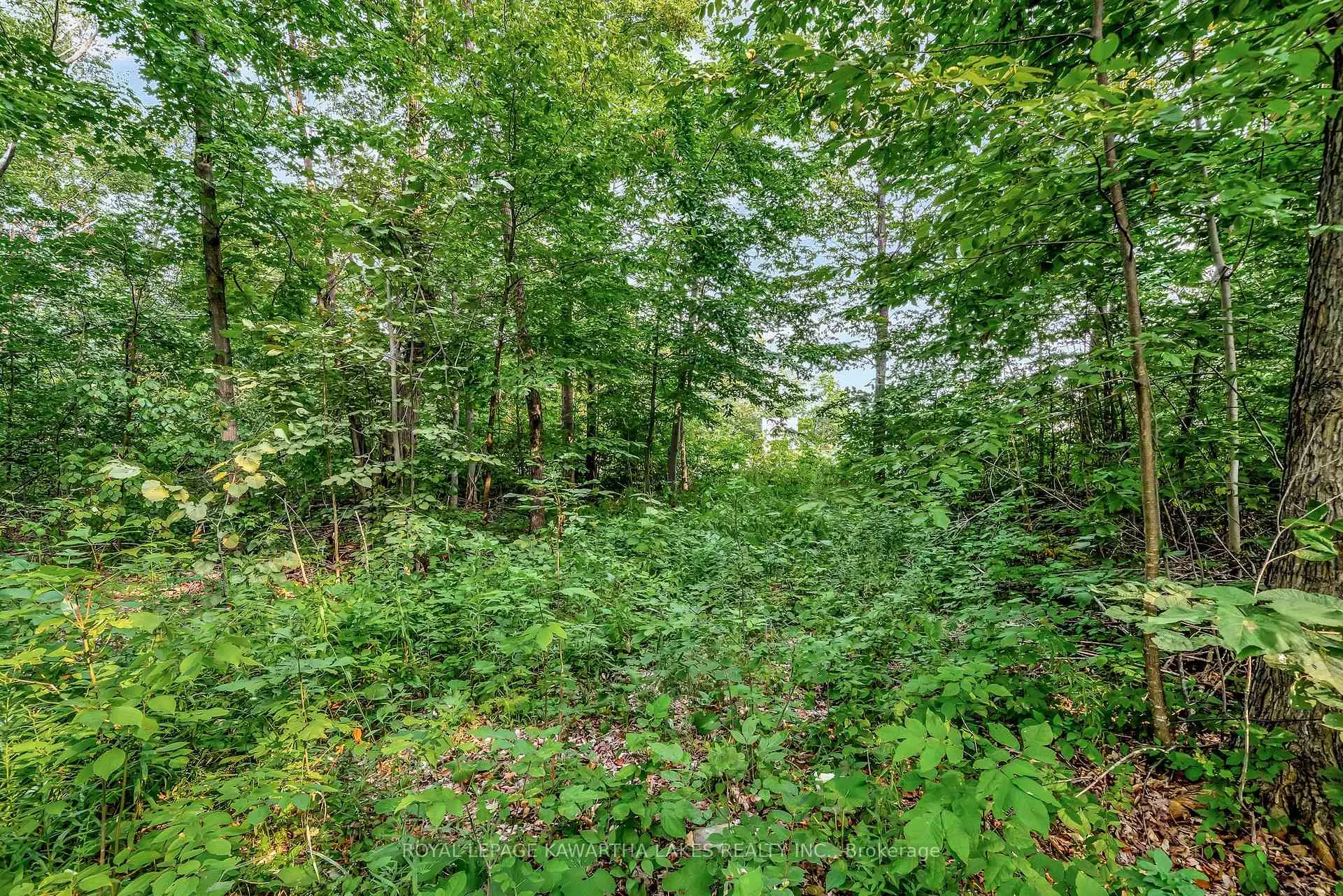 Photo 12 of Cottingham Road, Kawartha Lakes, Emily — HOMEH