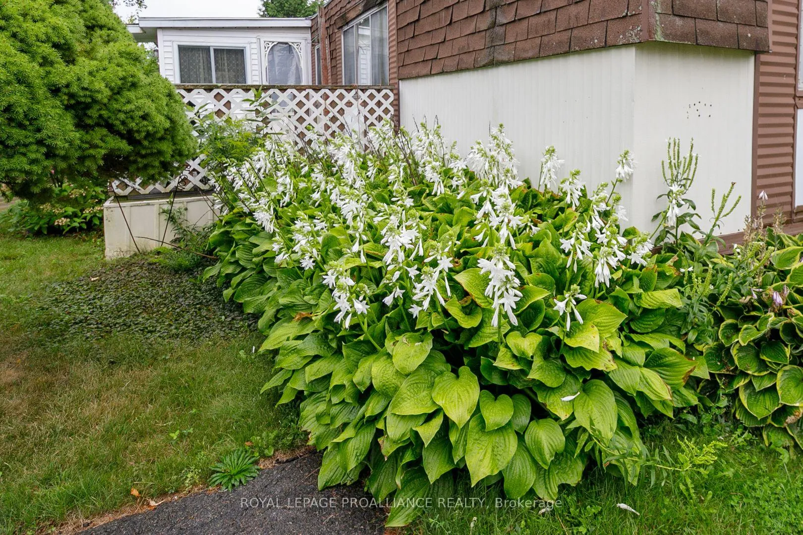 Photo 15 of 15 Thrush Lane, Quinte West, Sidney Ward — HOMEH